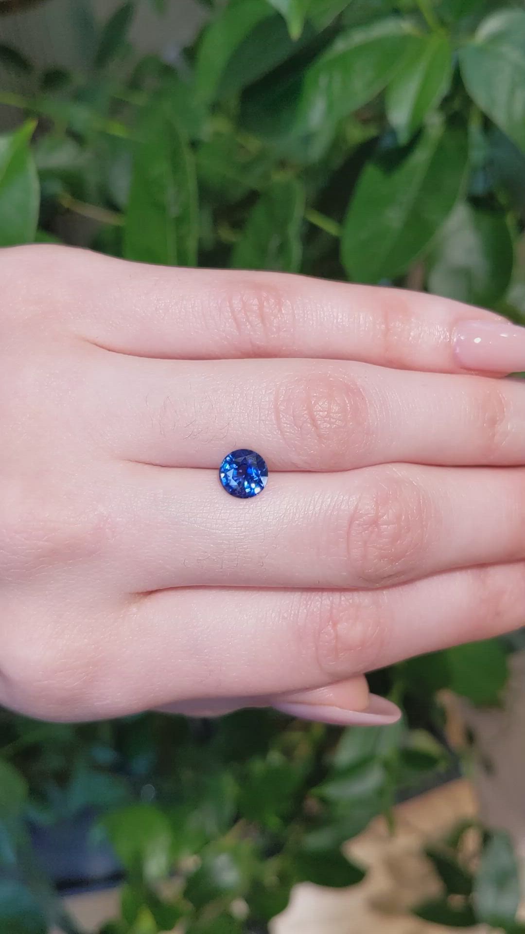 1.80 Ct. Blue Sapphire from Ceylon (Sri Lanka) Size Video