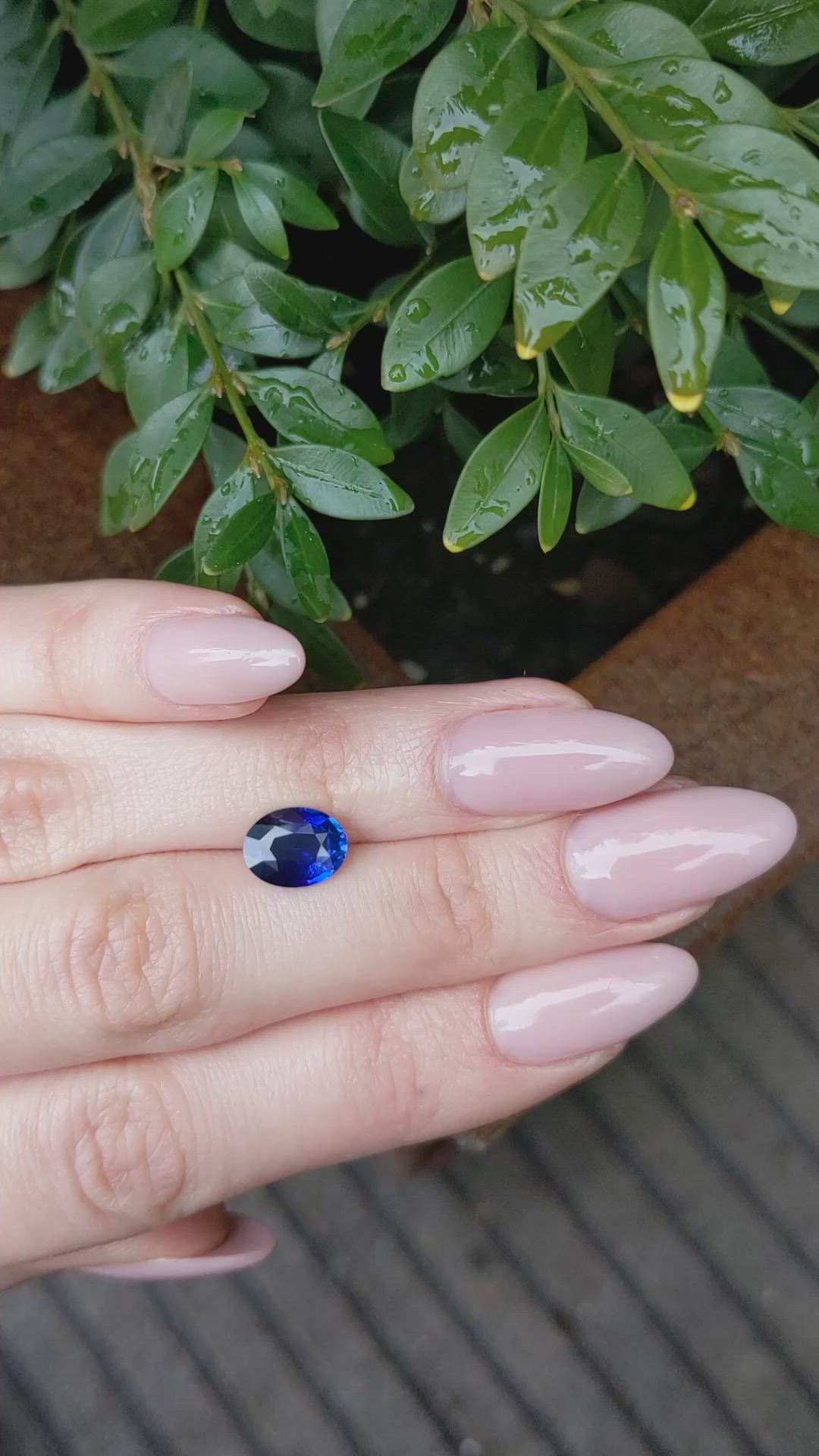 2.92 Ct. Blue Sapphire from Ceylon (Sri Lanka) Size Video