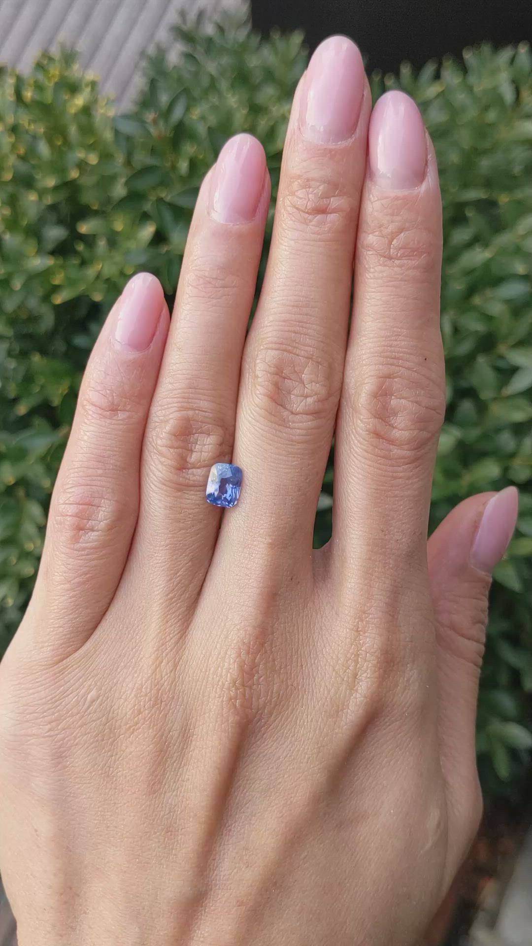 1.53 Ct. Blue Sapphire from Ceylon (Sri Lanka) Size Video