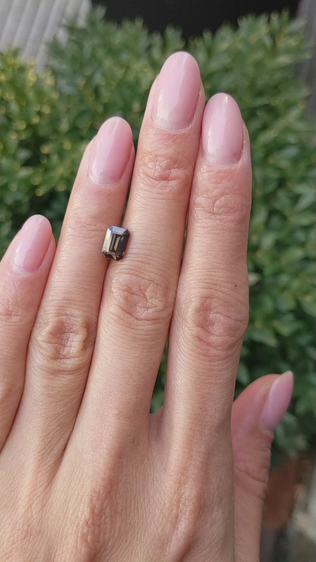 1.68 Ct. Brown Sapphire from Ceylon (Sri Lanka) Size Video