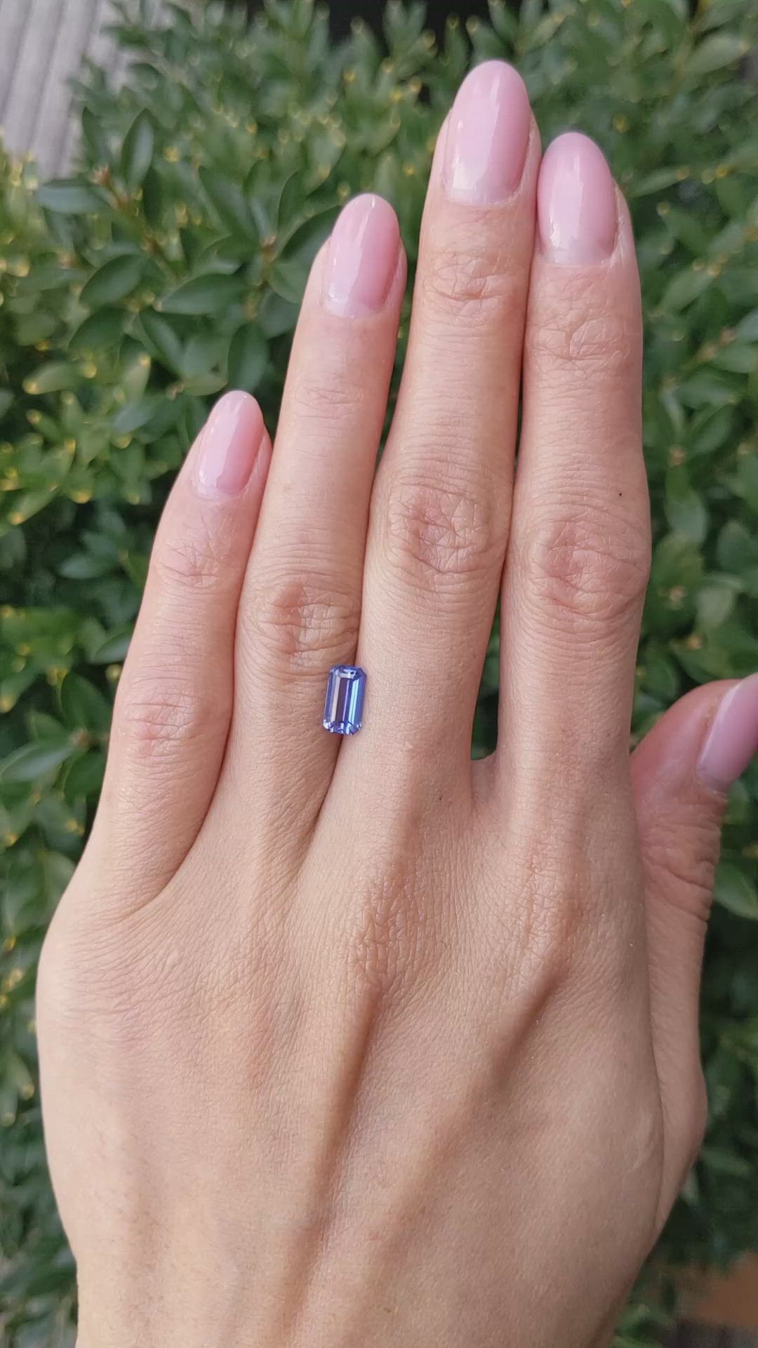 1.51 Ct. Blue Sapphire from Ceylon (Sri Lanka) Size Video