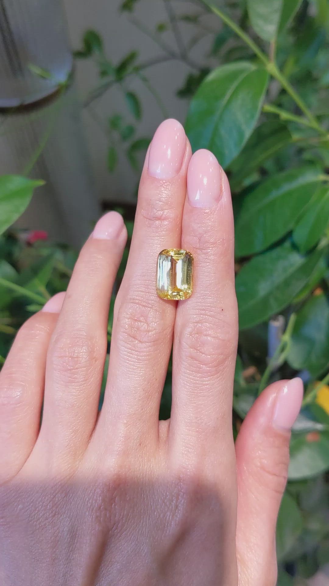 9.02 Ct. Yellow Sapphire from Ceylon (Sri Lanka) Size Video