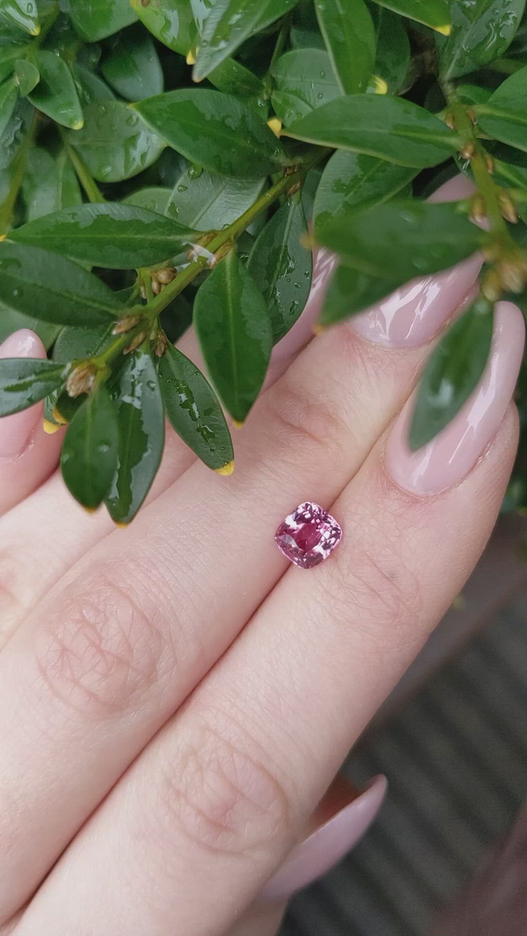 1.37 Ct. Padparadscha Sapphire from Ceylon (Sri Lanka) Size Video