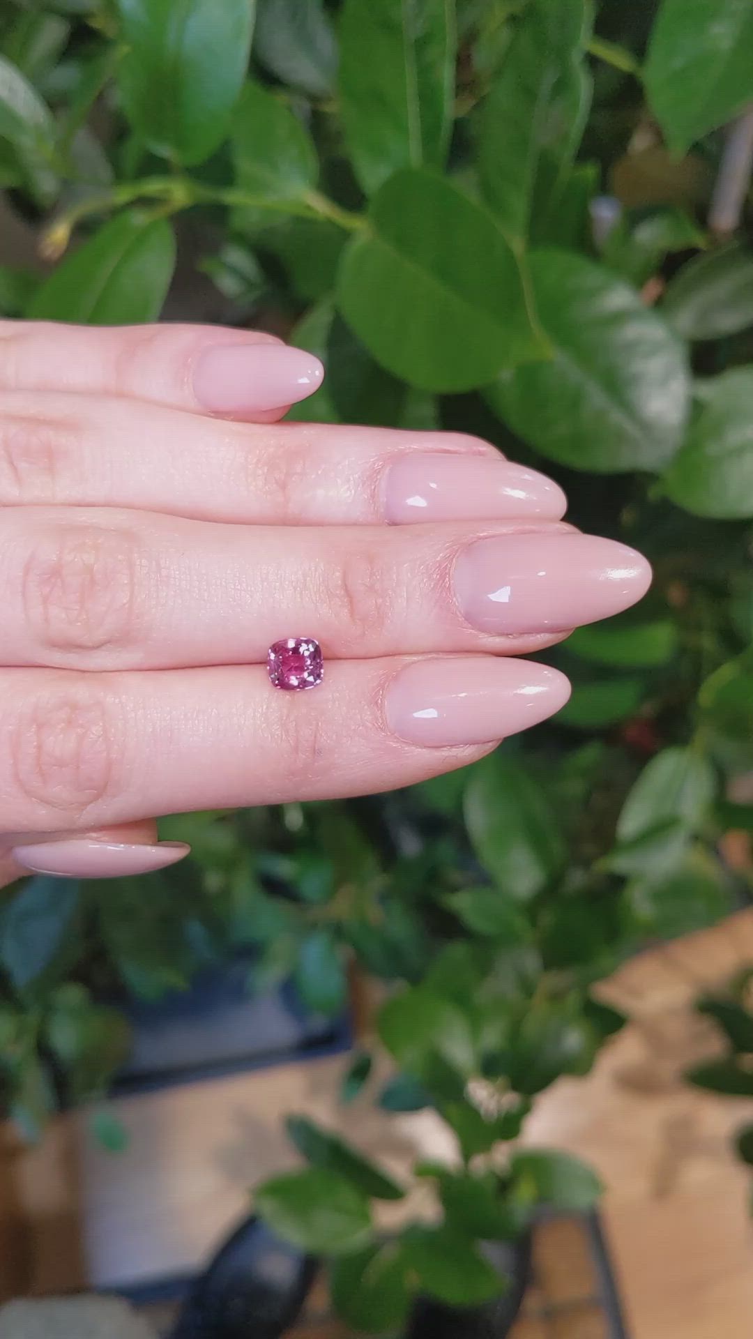 1.37 Ct. Padparadscha Sapphire from Ceylon (Sri Lanka) Size Video