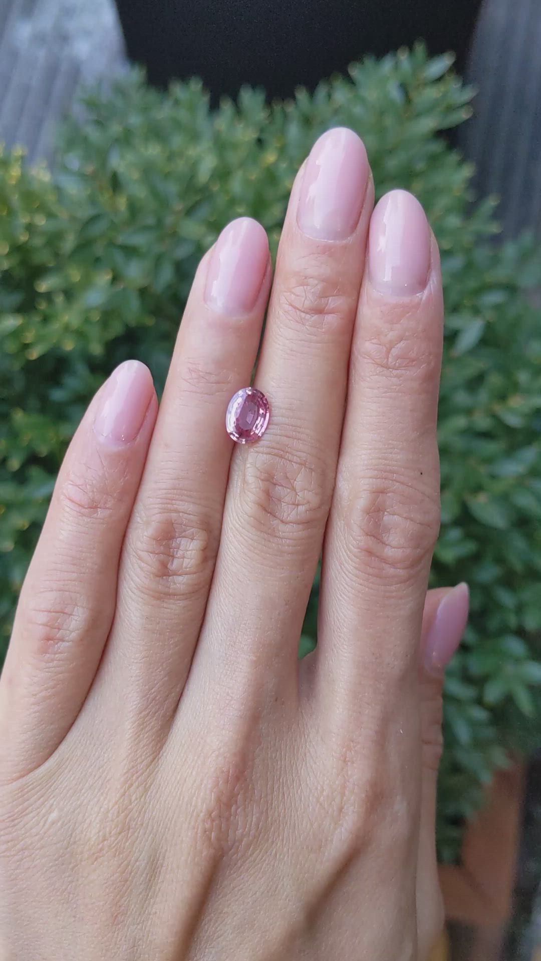 1.51 Ct. Padparadscha Sapphire from Ceylon (Sri Lanka) Size Video