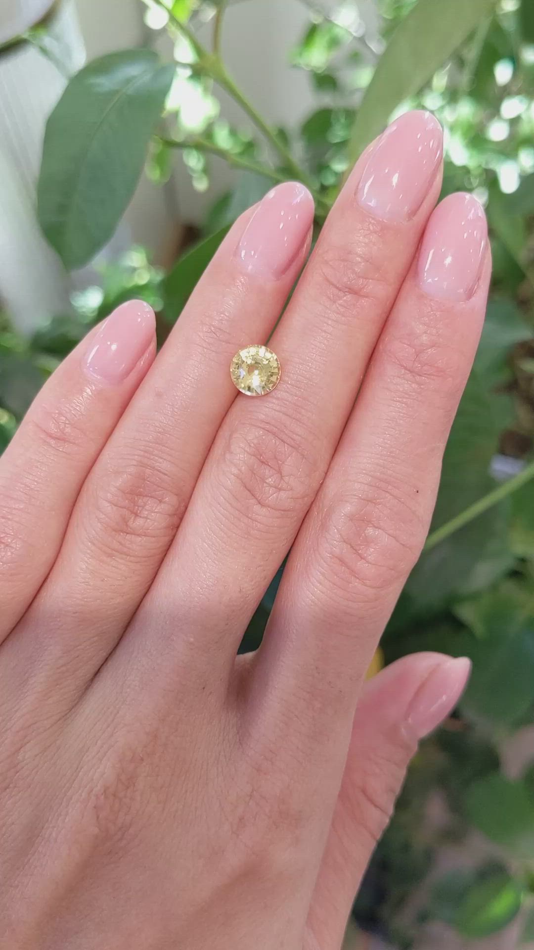 1.63 Ct. Yellow Sapphire from Ceylon (Sri Lanka) Size Video