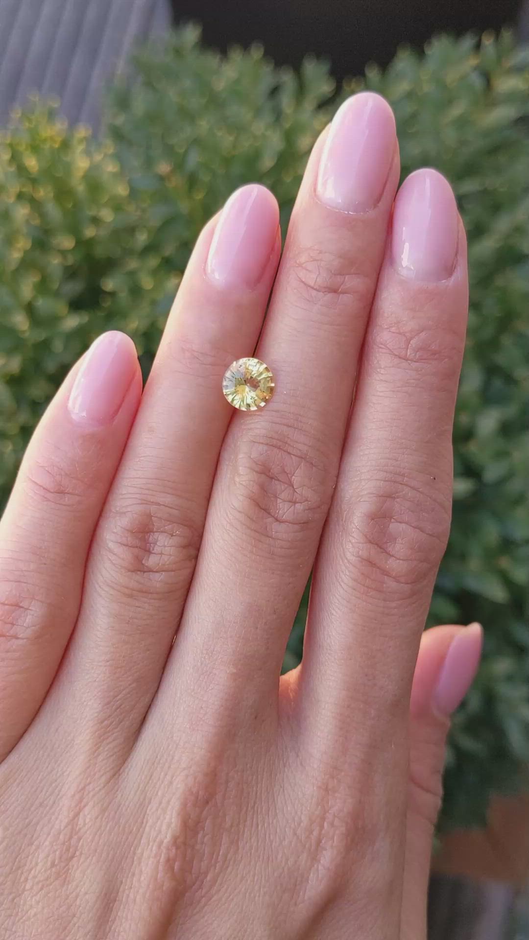 1.63 Ct. Yellow Sapphire from Ceylon (Sri Lanka) Size Video