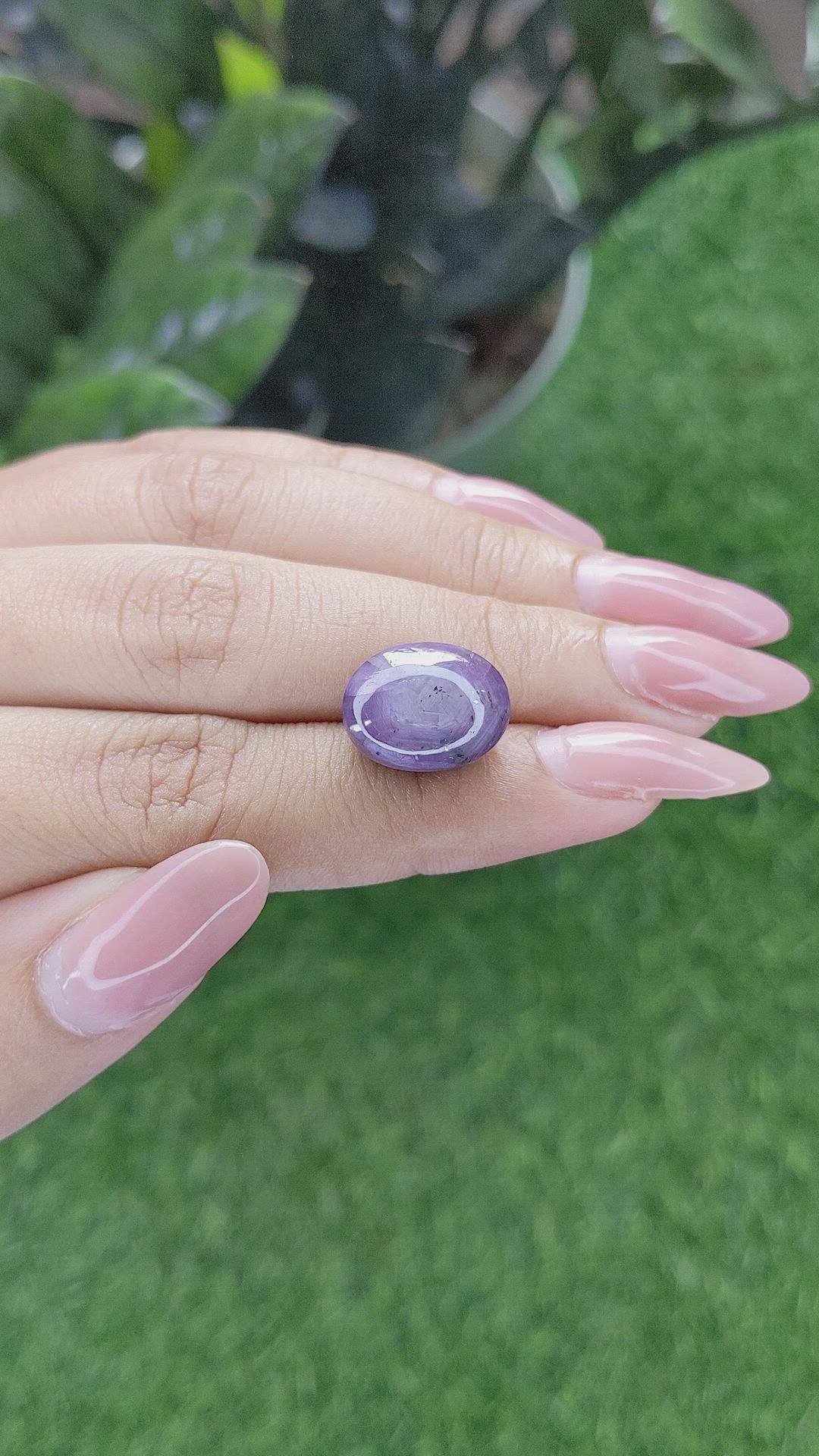 15.88 Ct. Purple Star Sapphire from Ceylon (Sri Lanka) Size Video