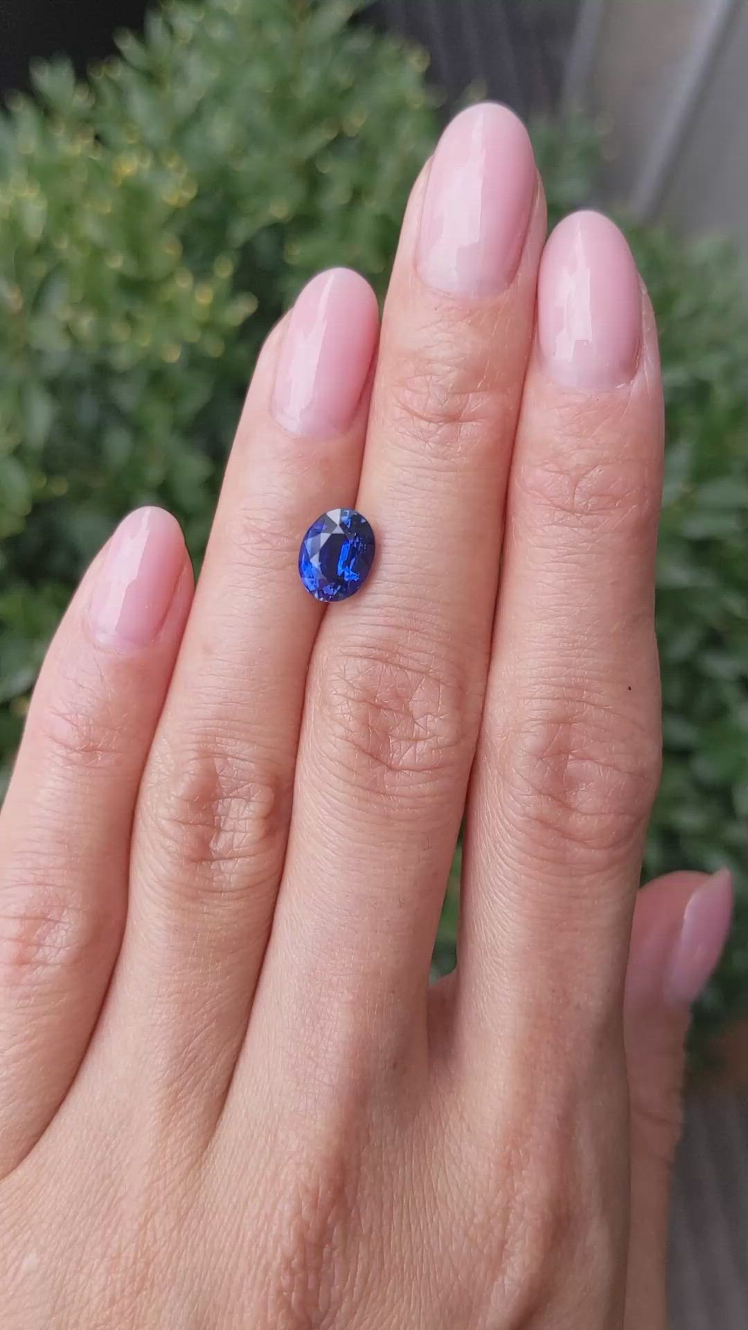 2.51 Ct. Blue Sapphire from Ceylon (Sri Lanka) Size Video