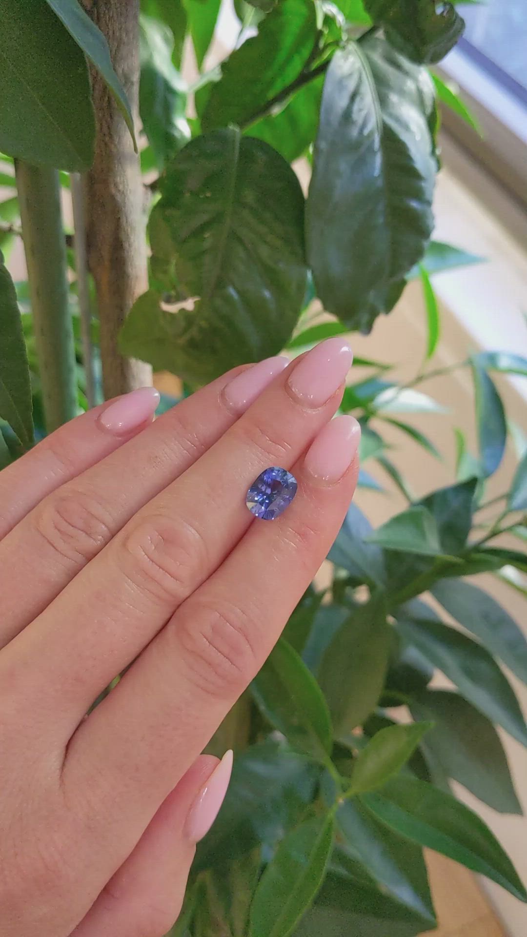 3.41 Ct. Blue Sapphire from Ceylon (Sri Lanka) Size Video