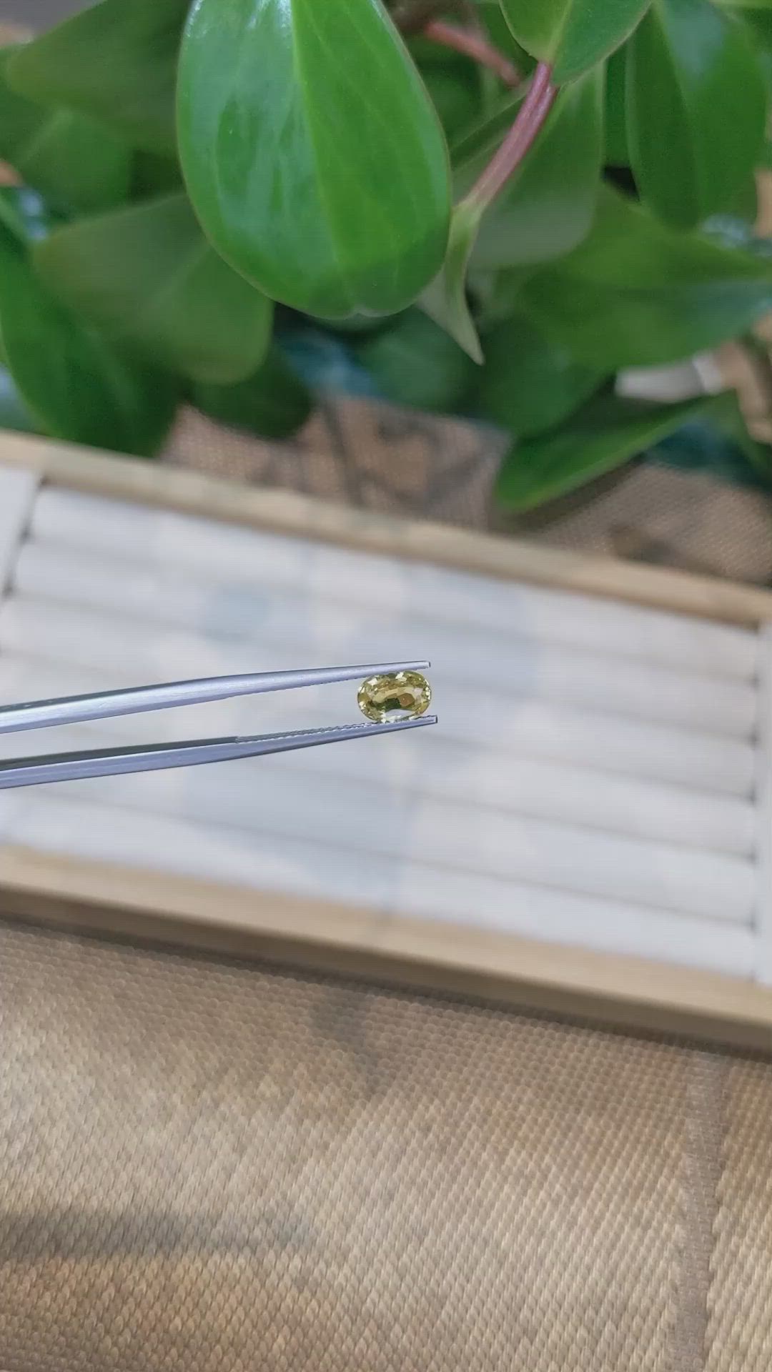 1.17 Ct. Yellowish Brown Sapphire from Madagascar Size Video