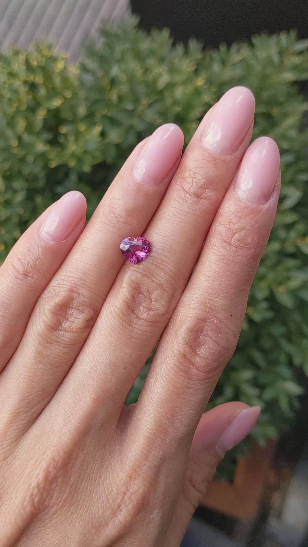 1.52 Ct. Purplish Pink Sapphire from Ceylon (Sri Lanka) Size Video