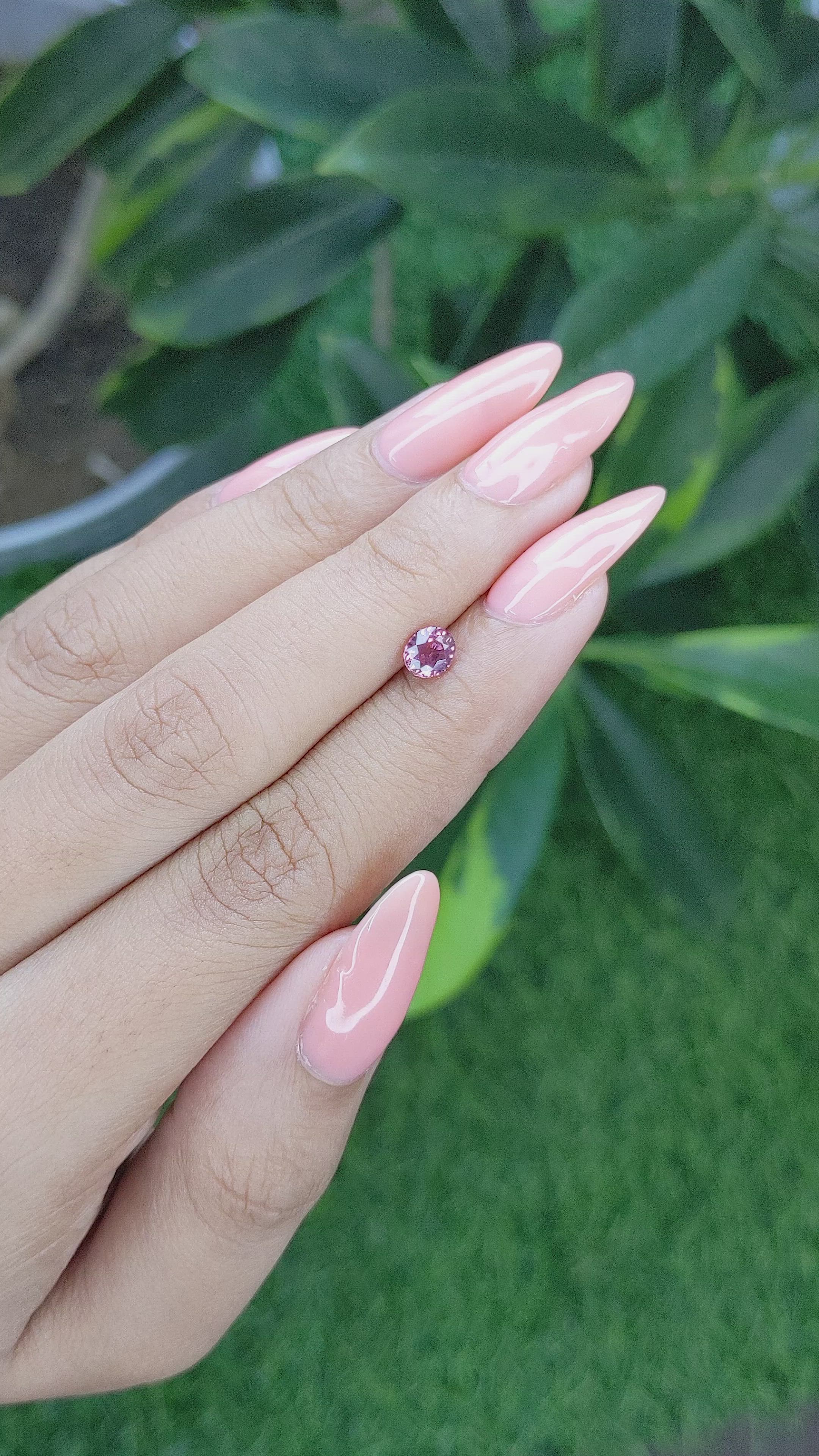 0.63 Ct. Pink Sapphire from Tanzania Size Video