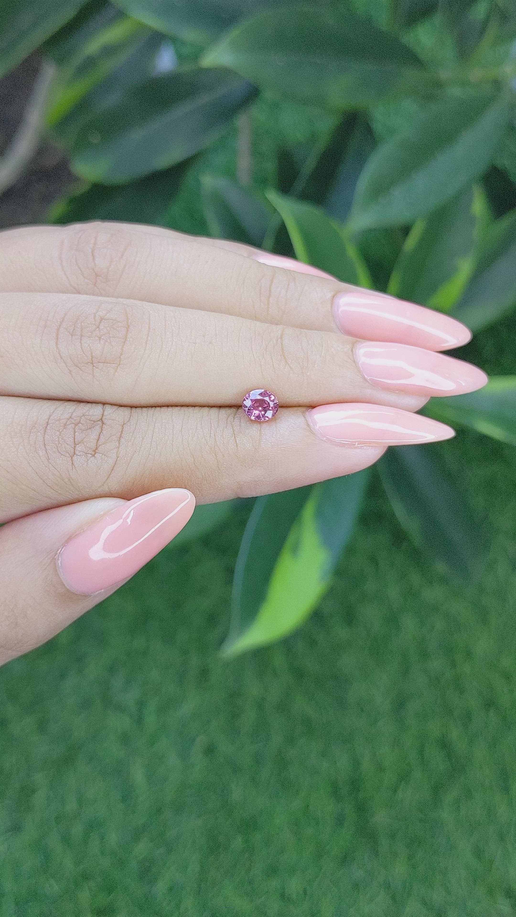 0.63 Ct. Pink Sapphire from Tanzania Size Video