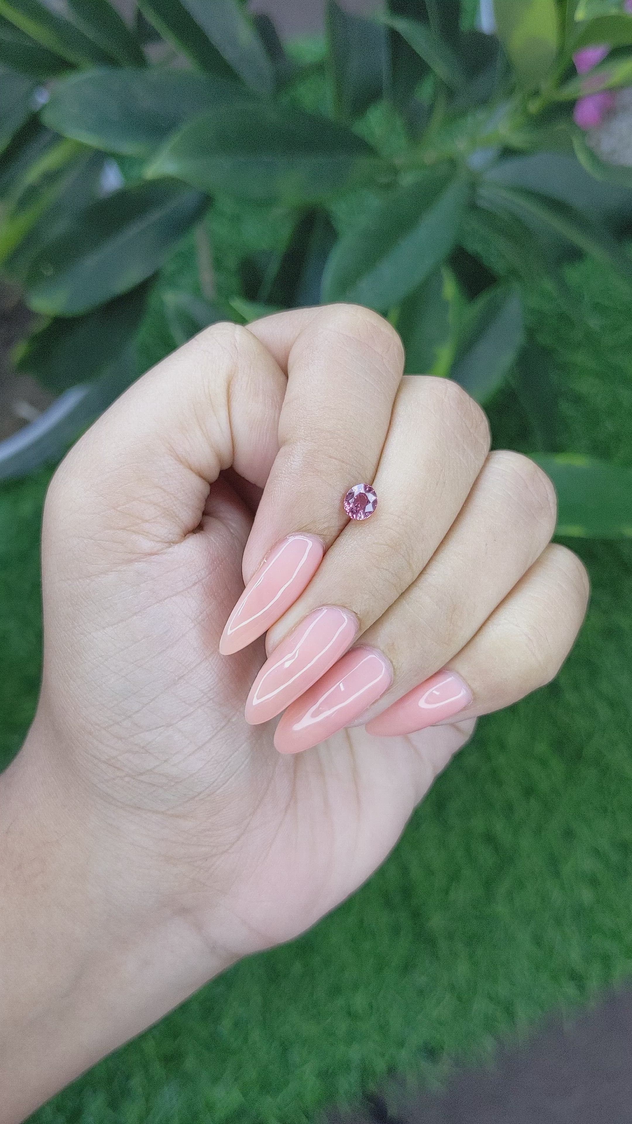 0.63 Ct. Pink Sapphire from Tanzania Size Video