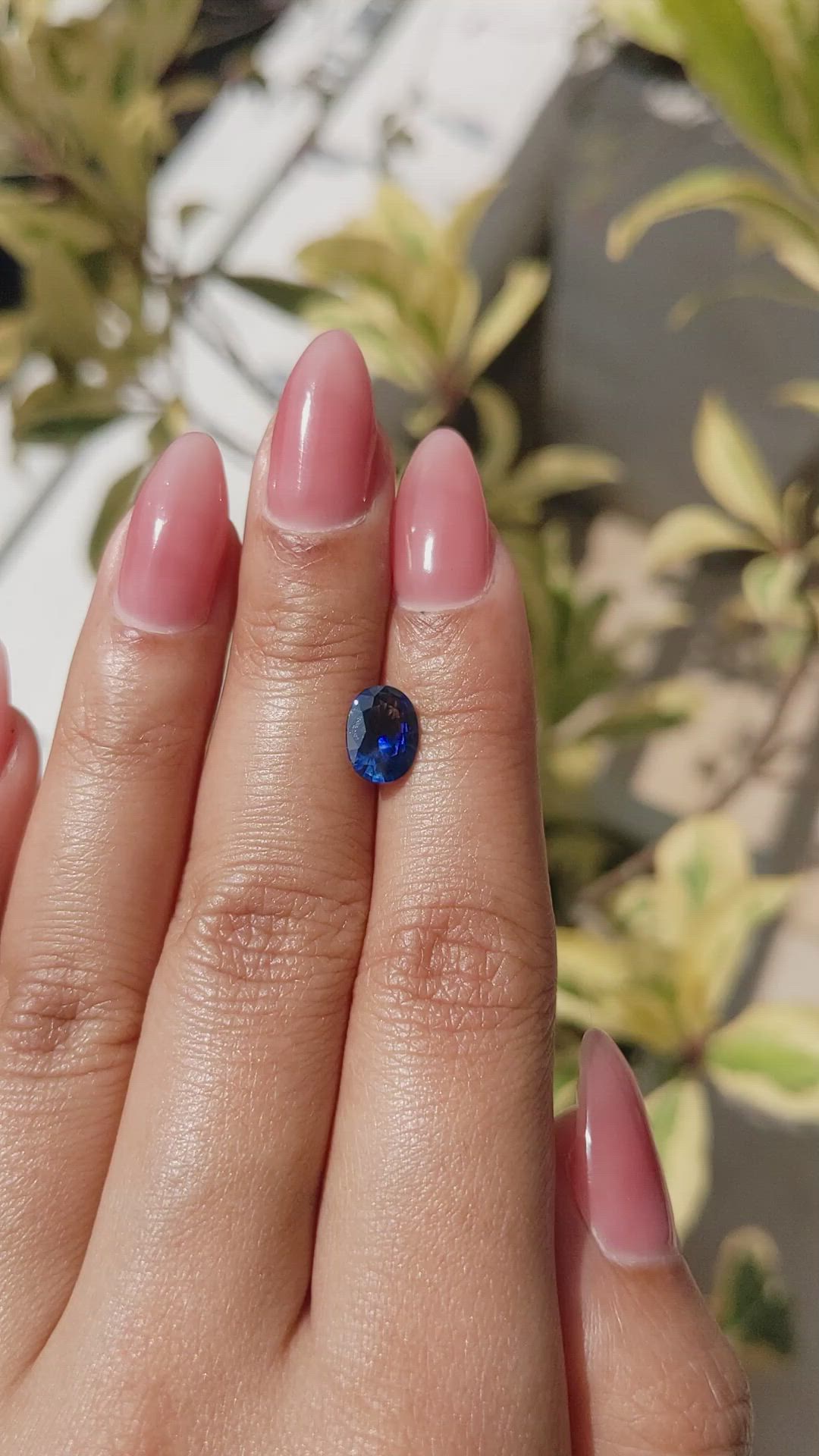1.57 Ct. Blue Sapphire from Ceylon (Sri Lanka) Size Video