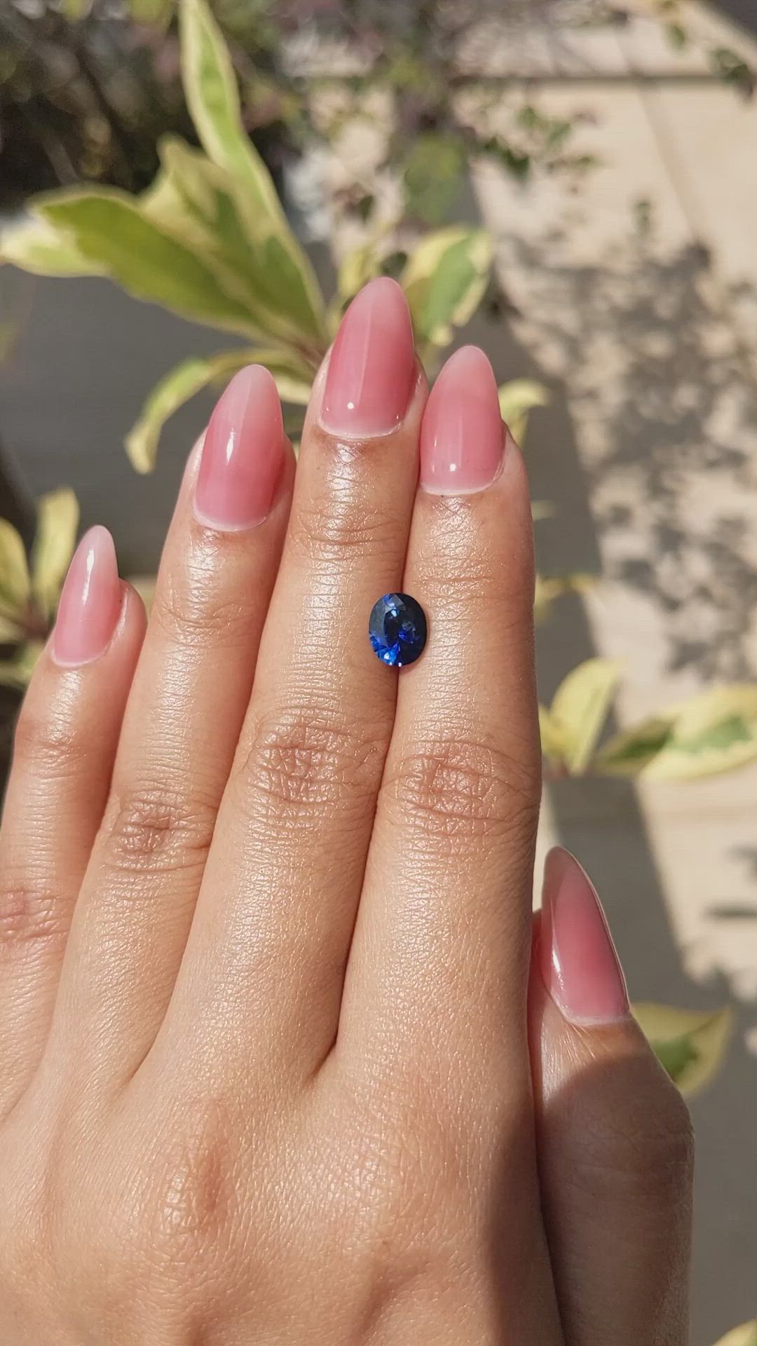 1.53 Ct. Blue Sapphire from Ceylon (Sri Lanka) Size Video
