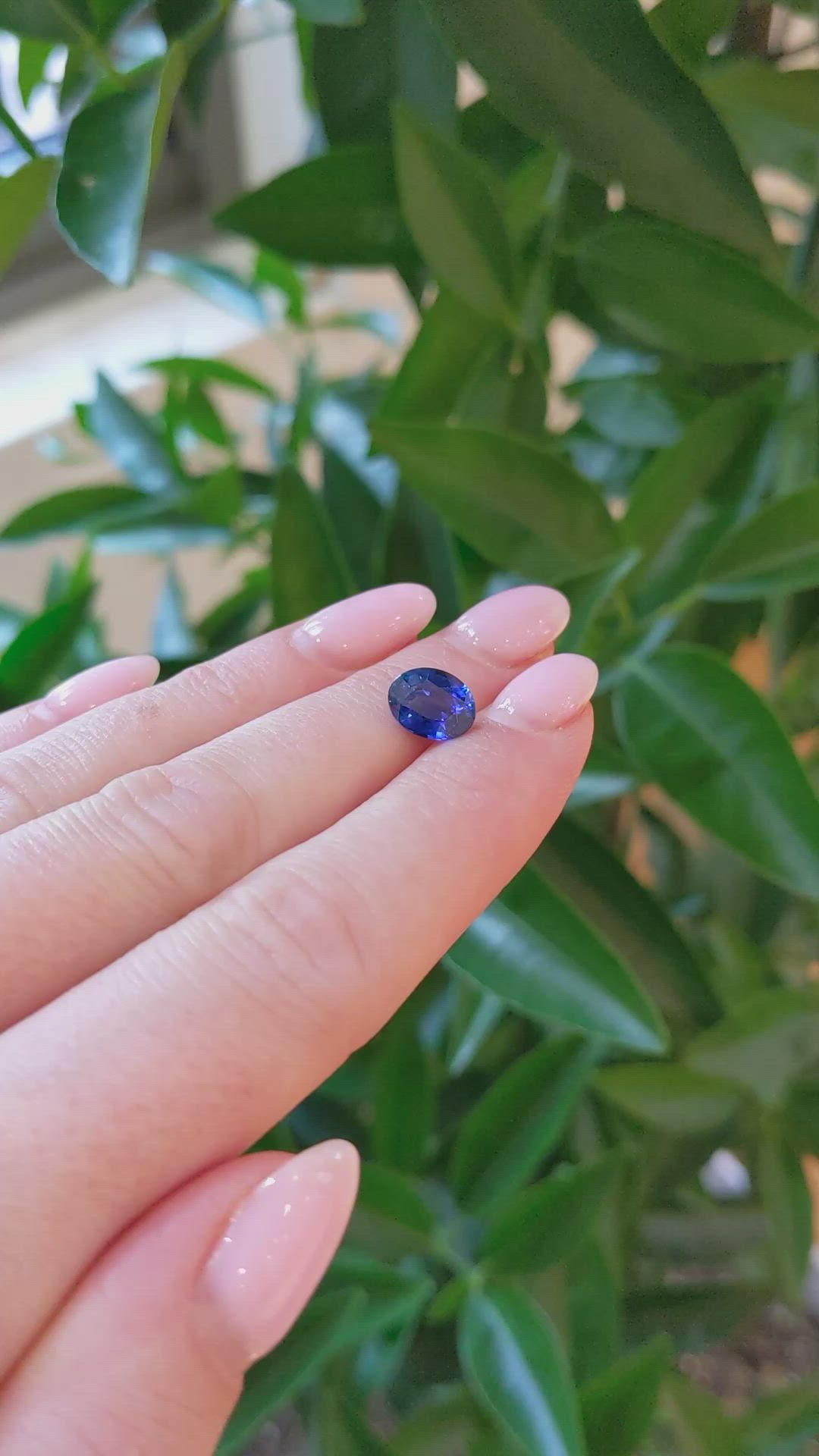 2.22 Ct. Blue Sapphire from Ceylon (Sri Lanka) Size Video
