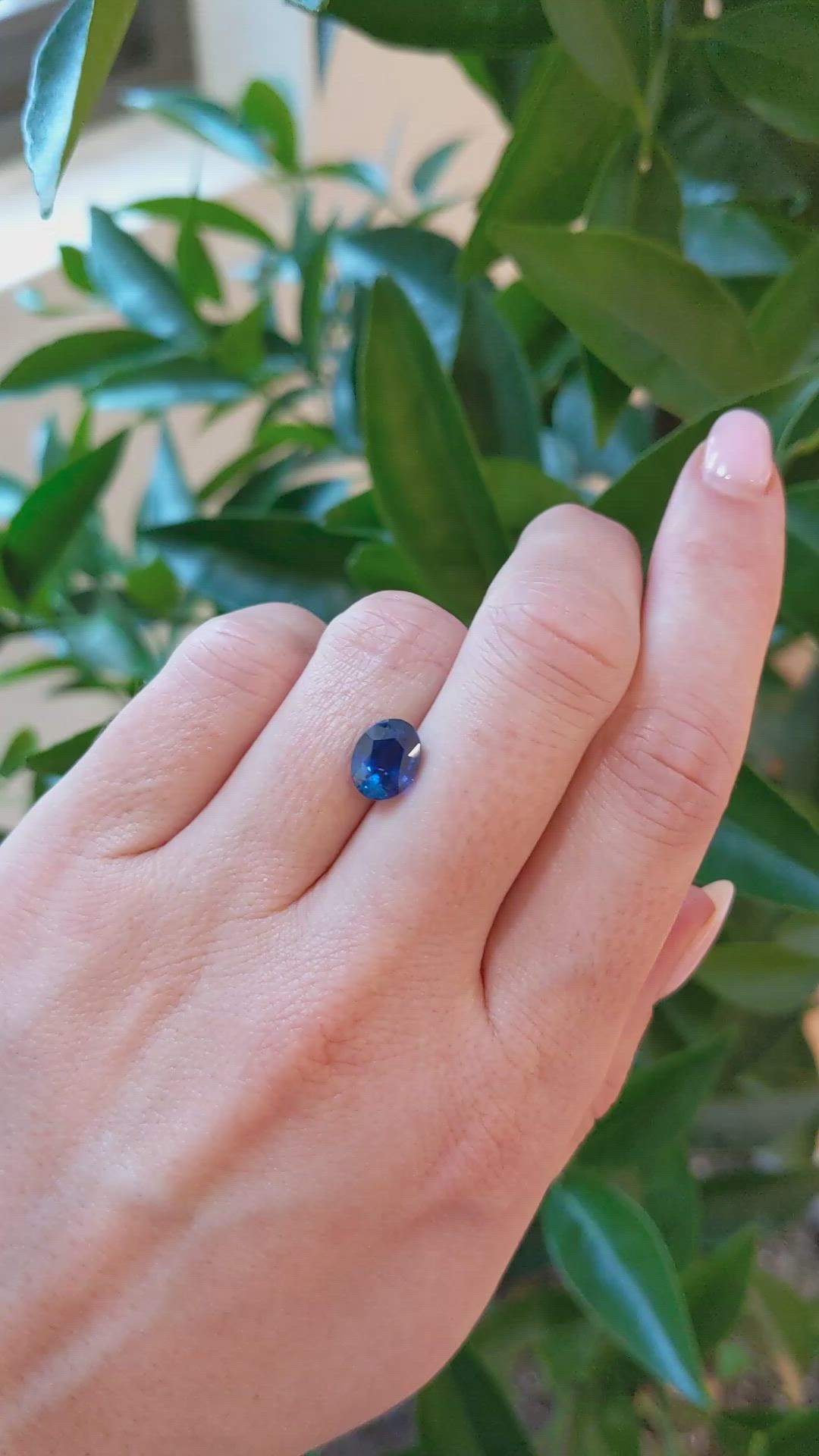 2.22 Ct. Blue Sapphire from Ceylon (Sri Lanka) Size Video