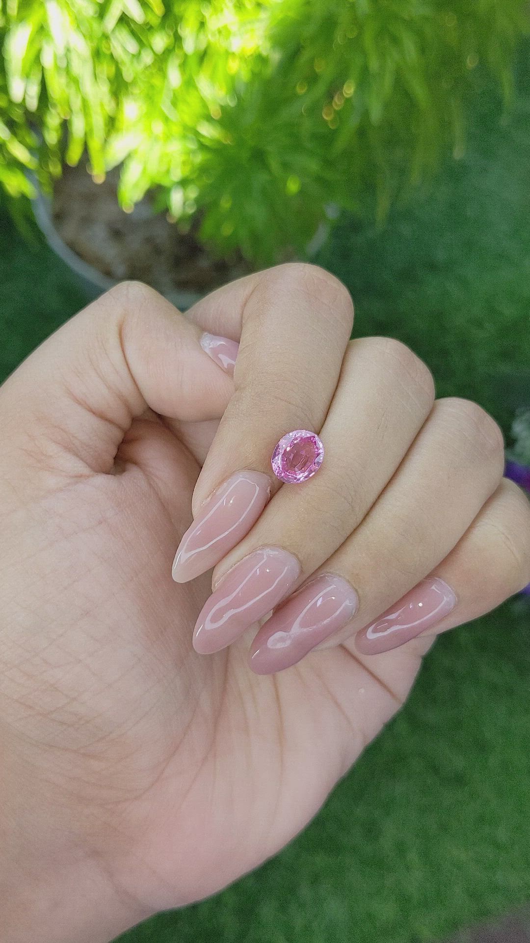 2.02 Ct. Pink Sapphire from Madagascar Size Video