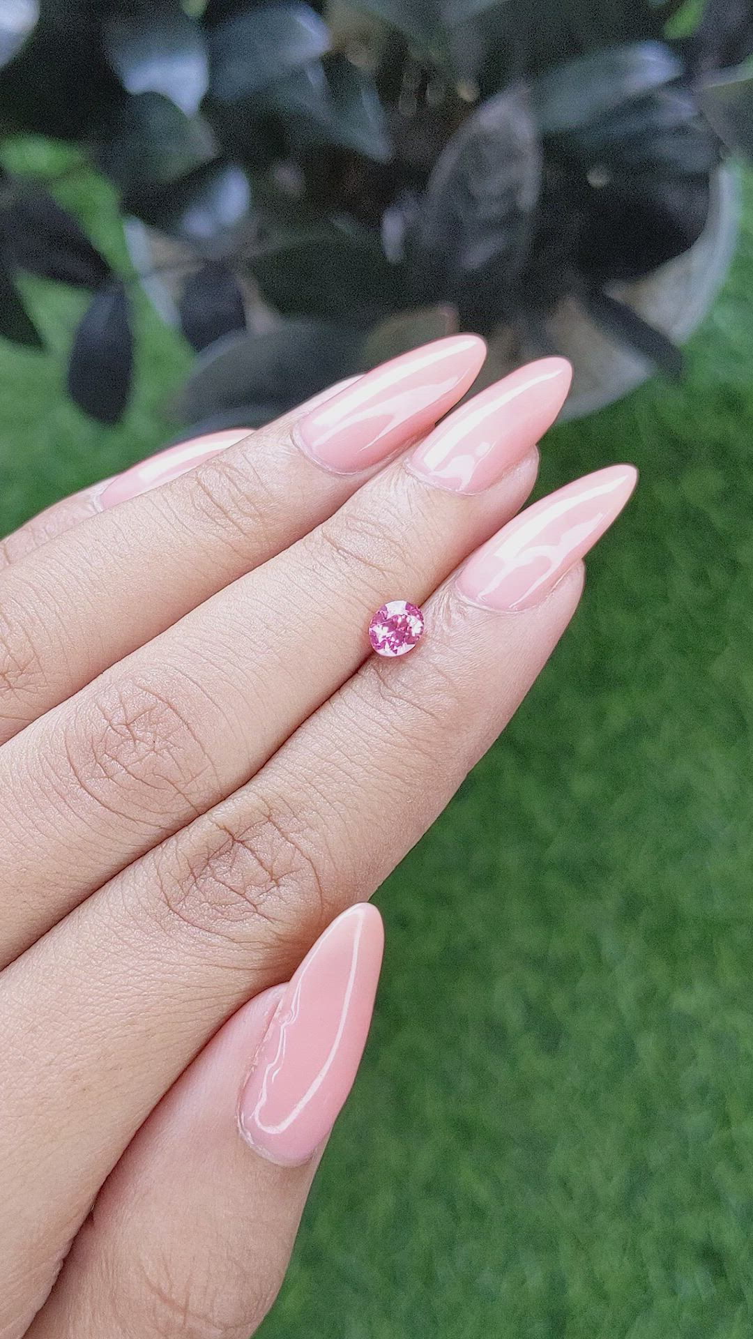 0.69 Ct. Pink Sapphire from Tanzania Size Video