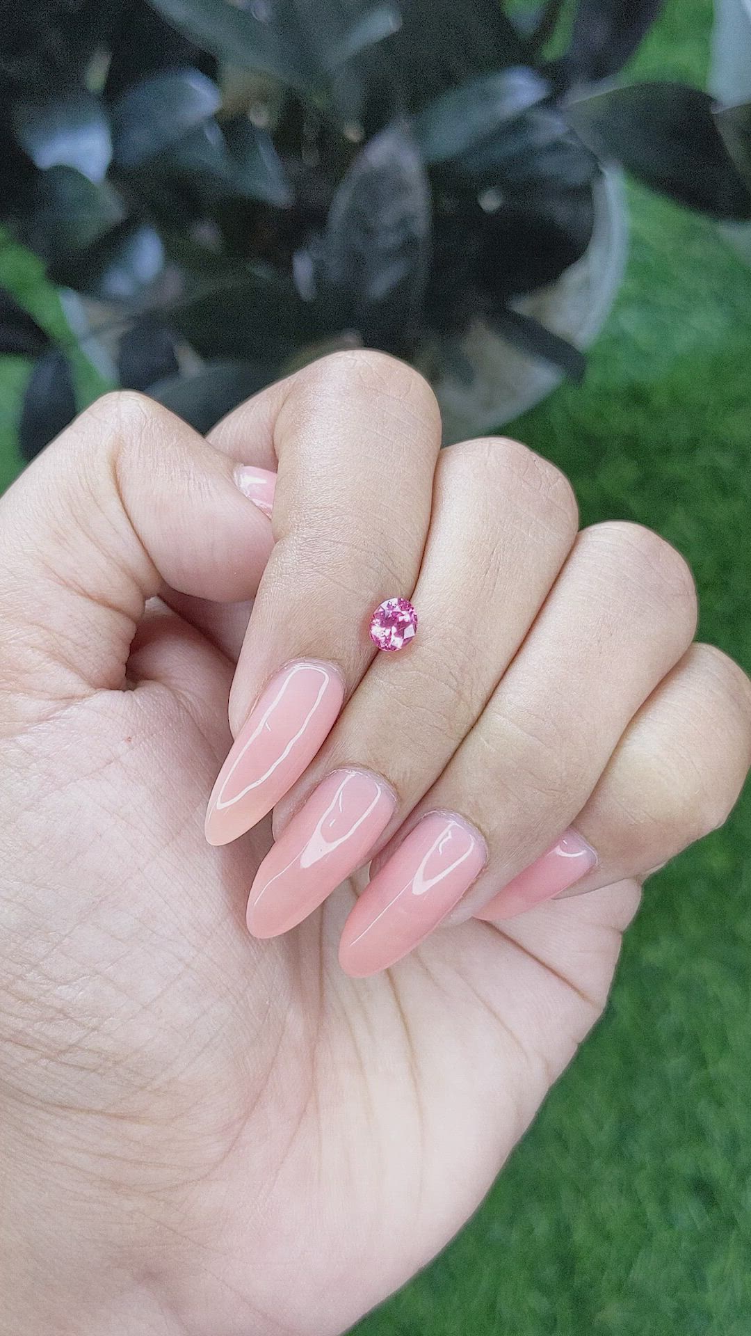 0.69 Ct. Pink Sapphire from Tanzania Size Video