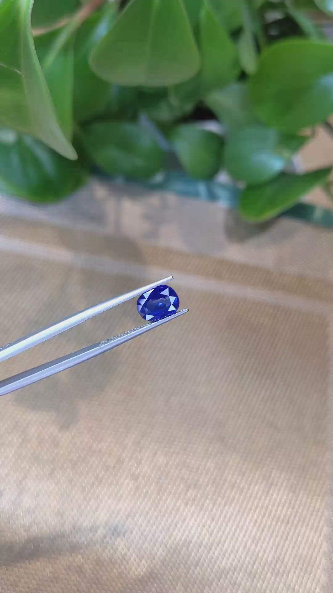 2.54 Ct. Blue Sapphire from Ceylon (Sri Lanka) Size Video