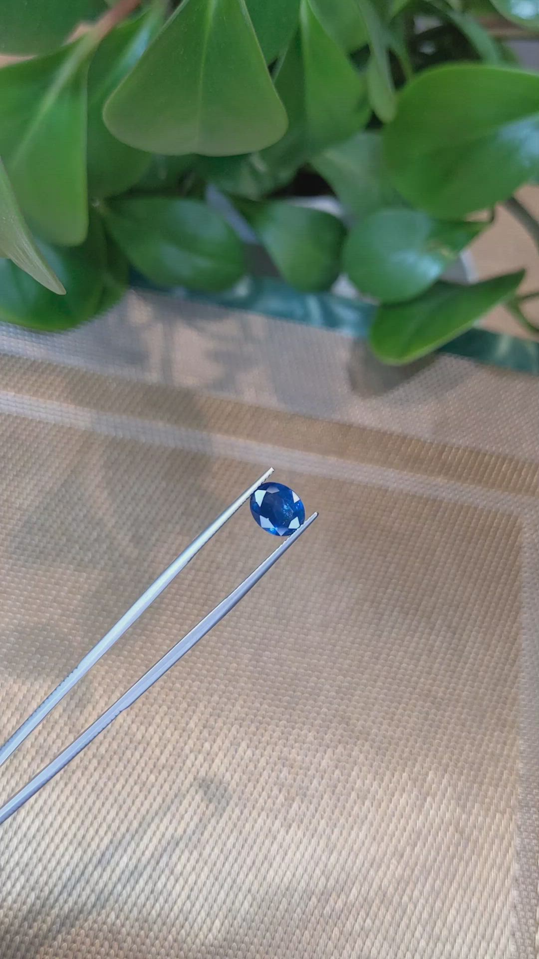 2.65 Ct. Blue Sapphire from Thailand Size Video