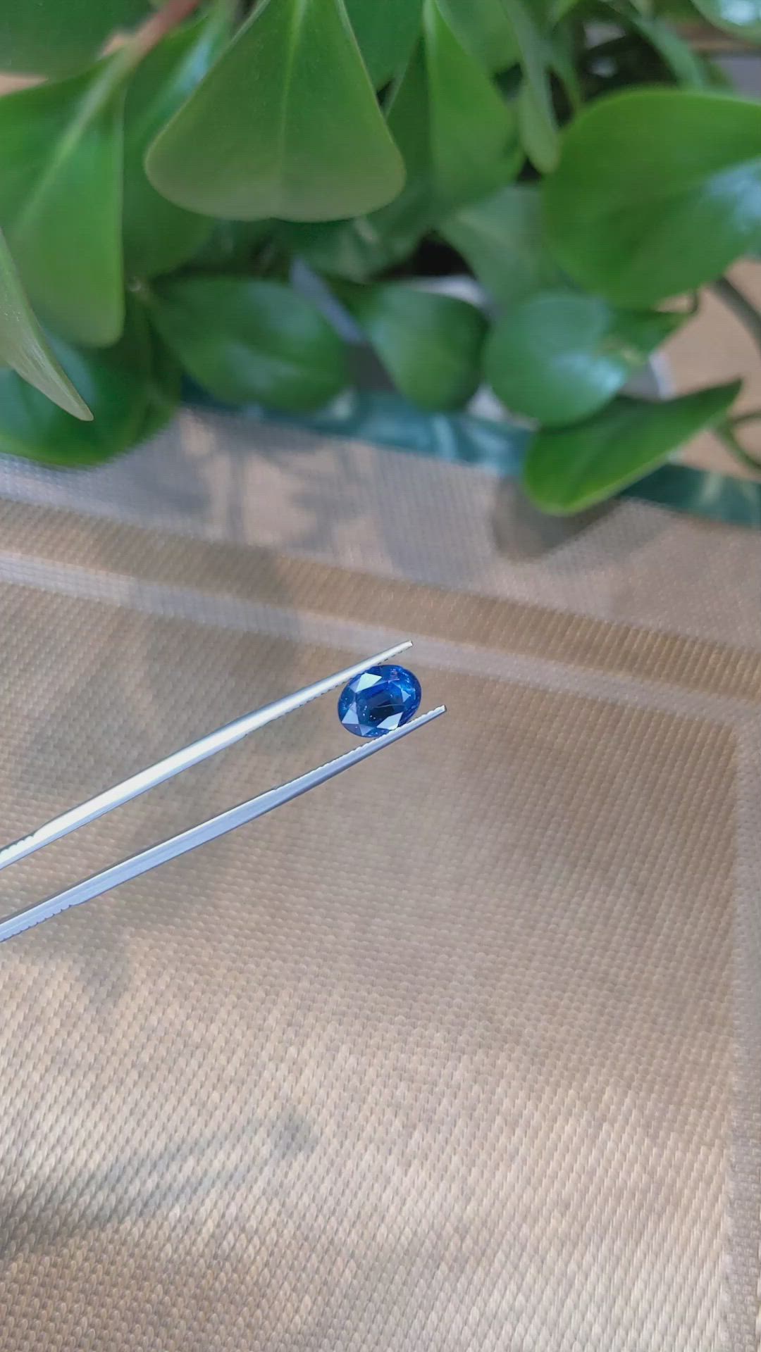 3.37 Ct. Blue Sapphire from Thailand Size Video