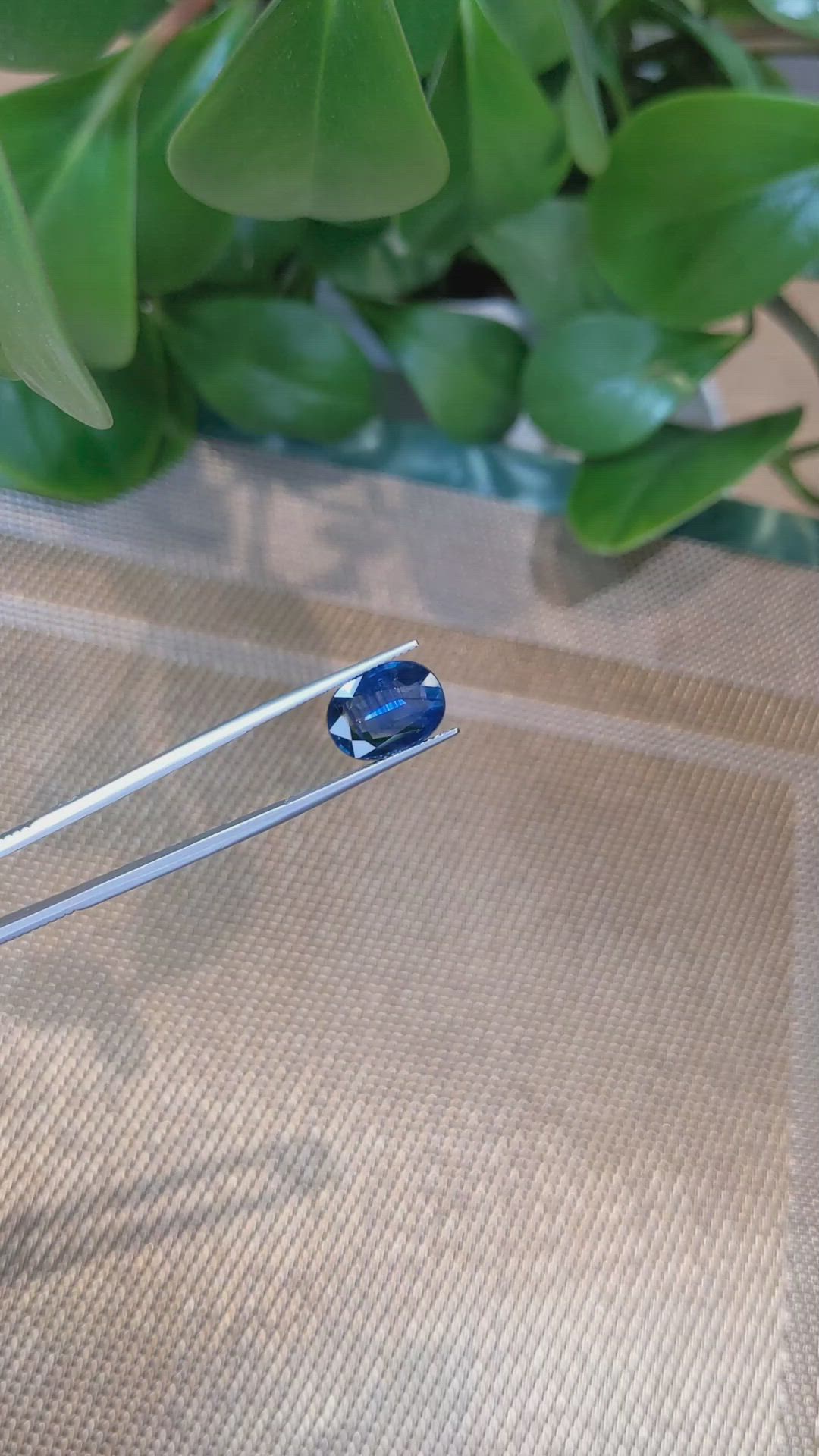 5.30 Ct. Blue Sapphire from Thailand Size Video