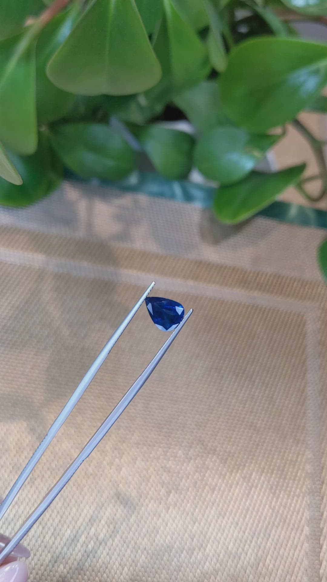 2.96 Ct. Blue Sapphire from Thailand Size Video