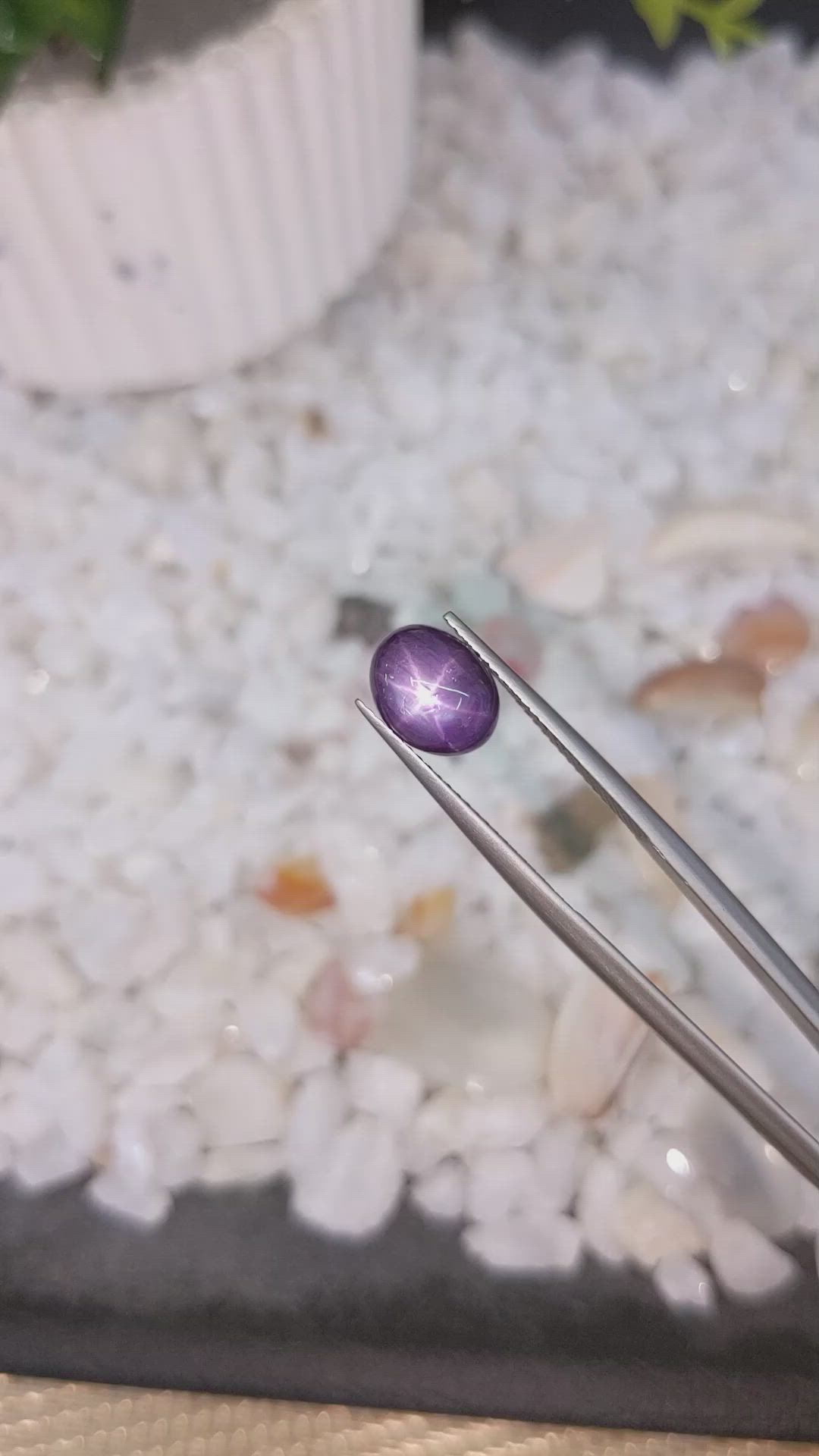 3.35 Ct. Purple Star Sapphire from Ceylon (Sri Lanka) Size Video