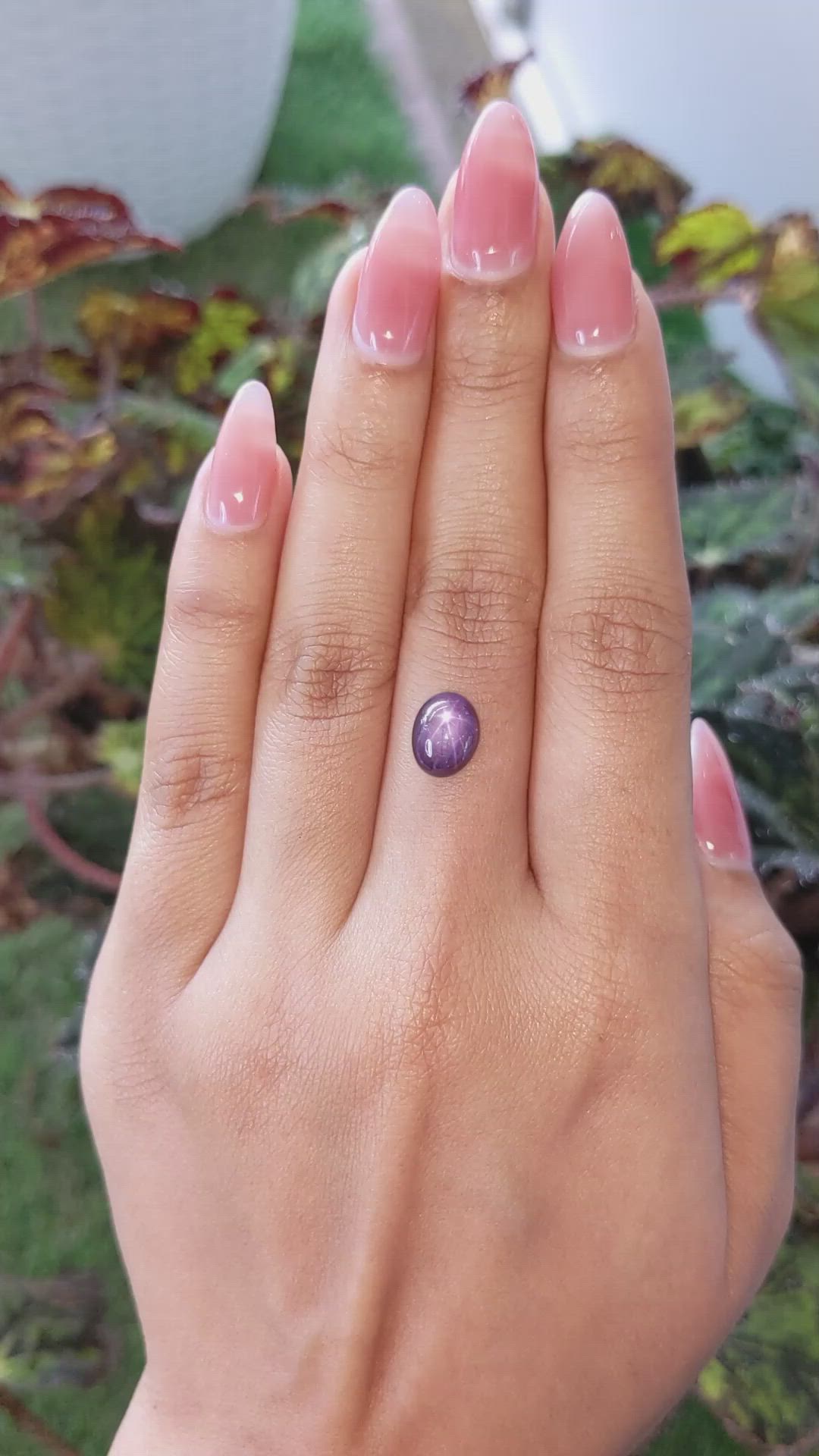 3.35 Ct. Purple Star Sapphire from Ceylon (Sri Lanka) Size Video