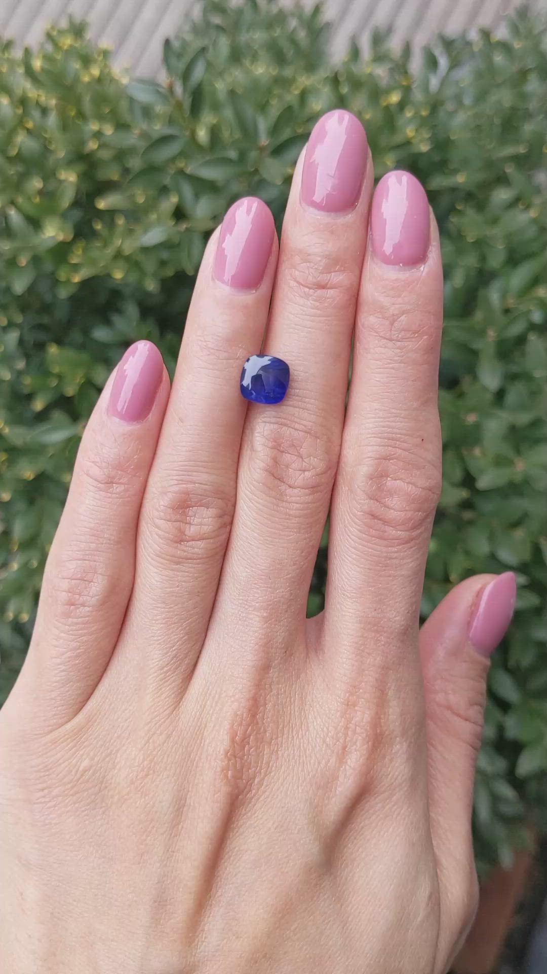 2.73 Ct. Blue Cabochon Sapphire from Ceylon (Sri Lanka) Size Video