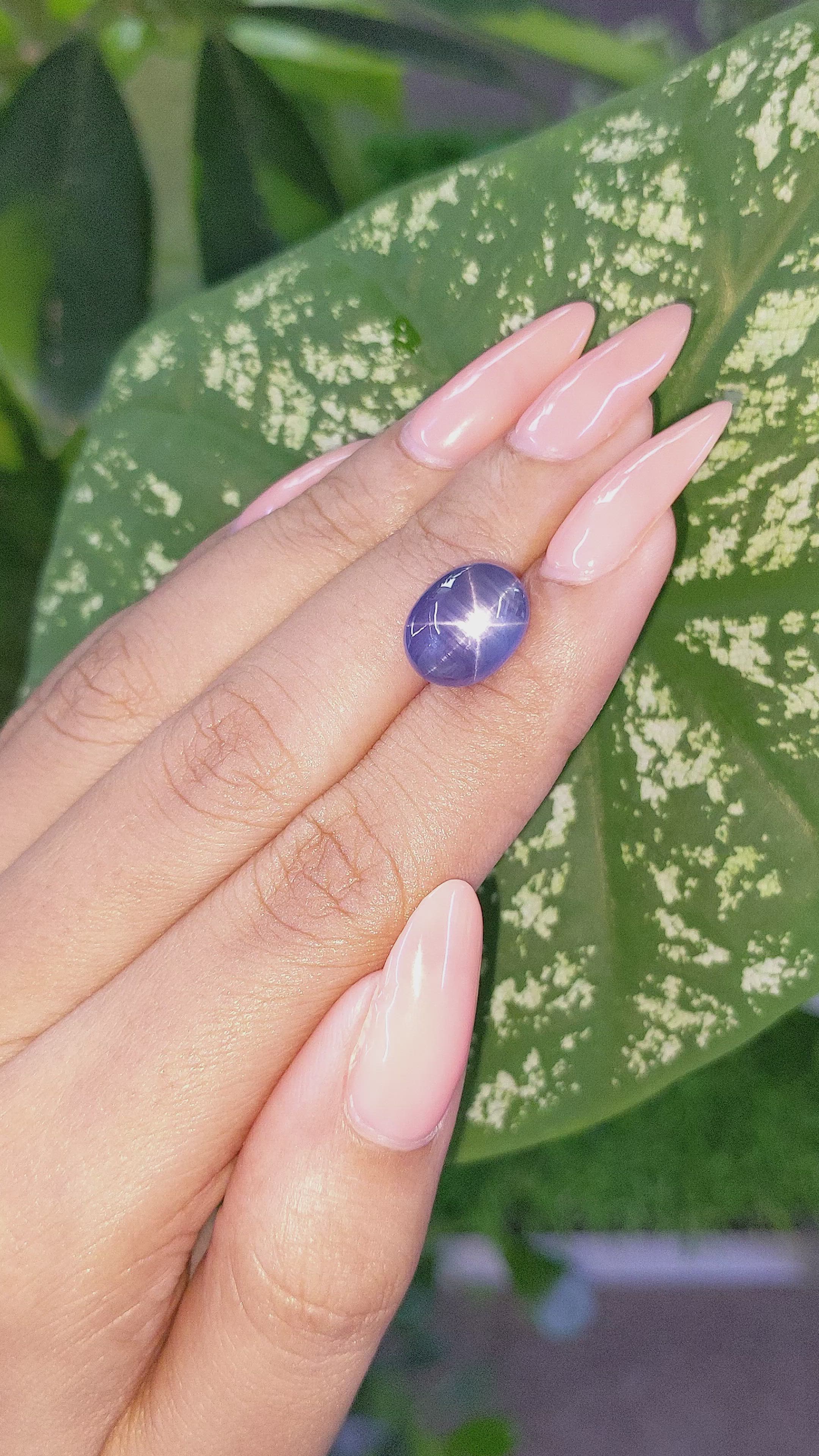 8.58 Ct. Violet Star Sapphire from Ceylon (Sri Lanka) Size Video