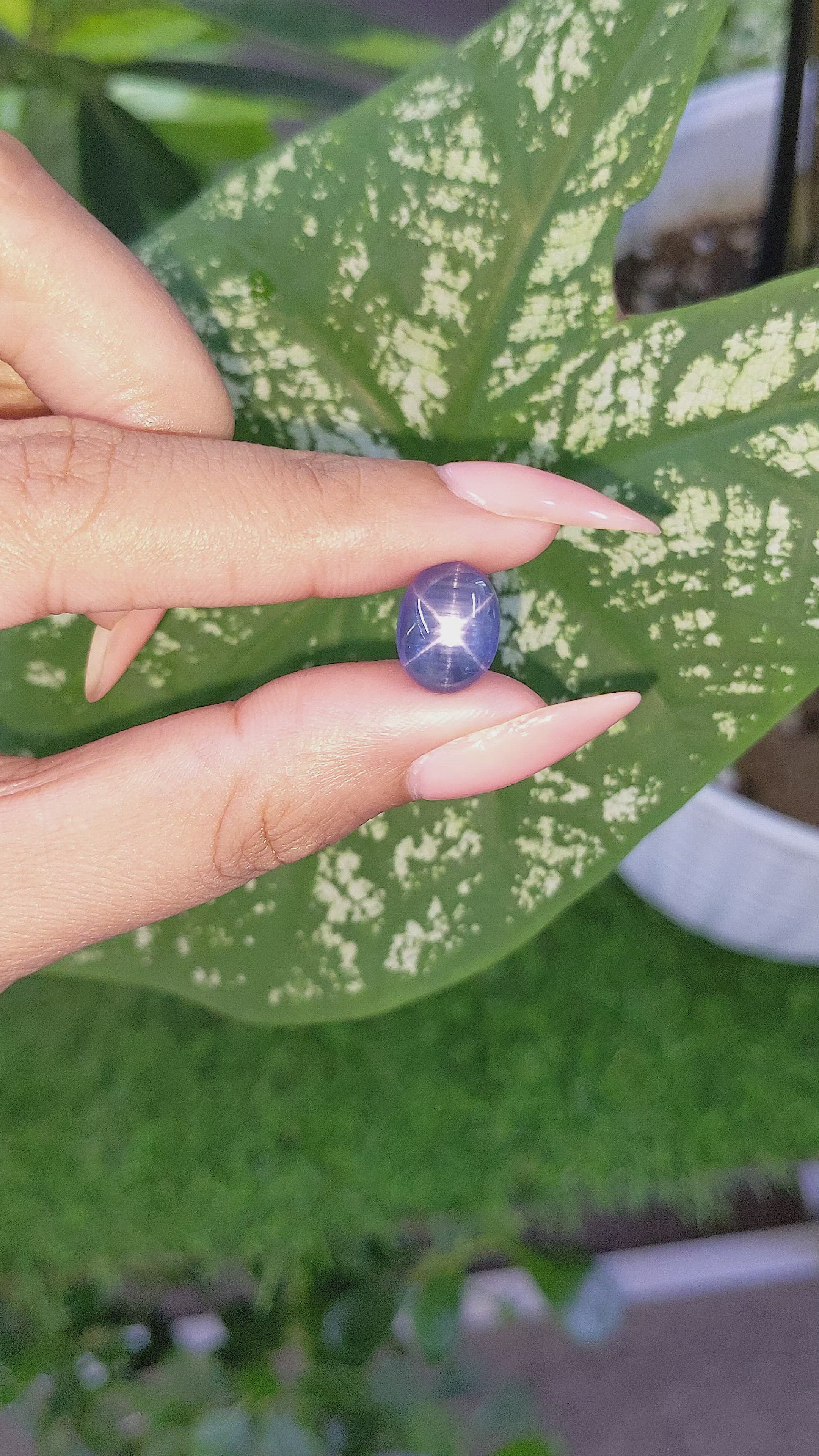 8.58 Ct. Violet Star Sapphire from Ceylon (Sri Lanka) Size Video