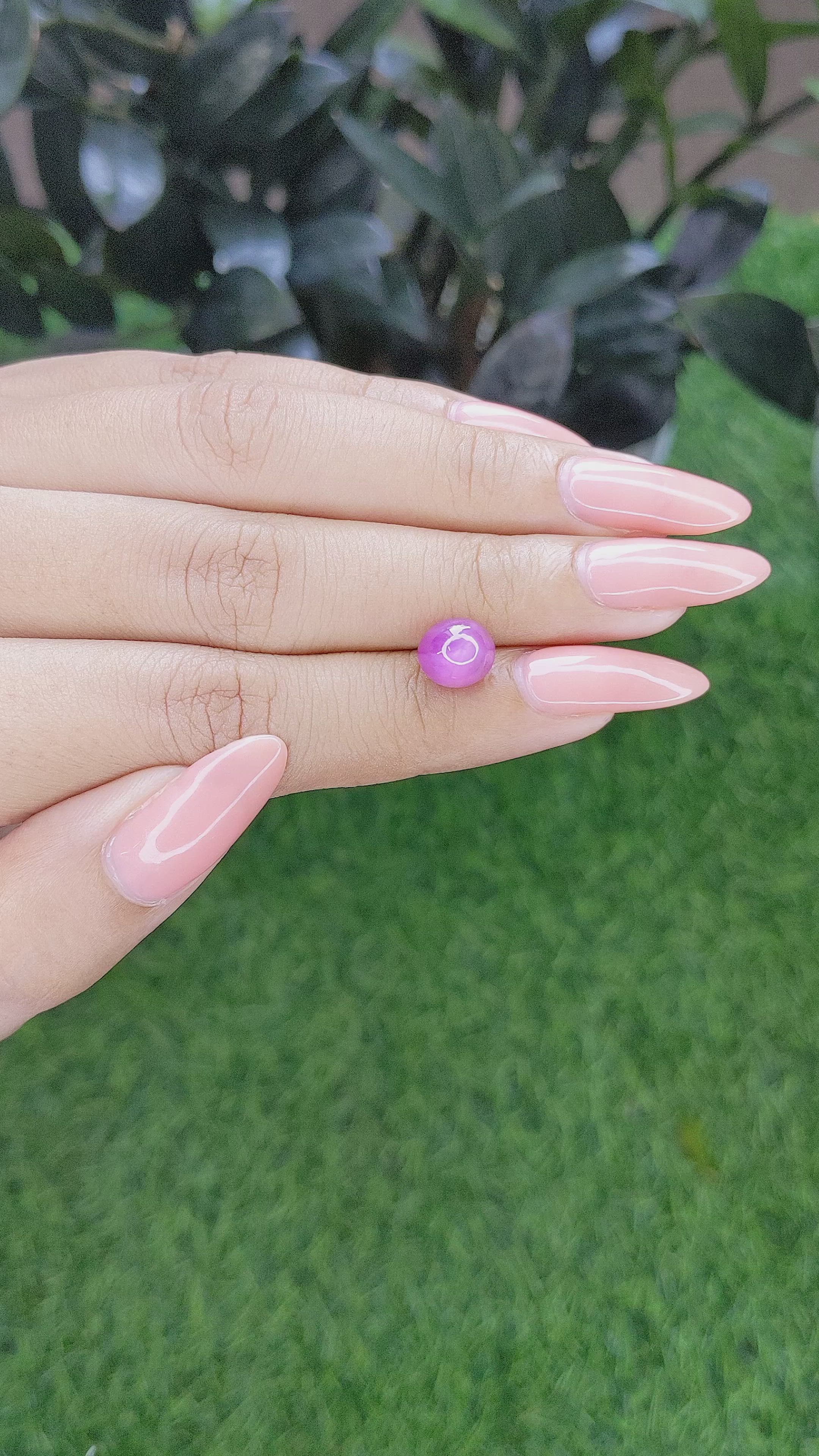 4.79 Ct. Pink Star Sapphire from Ceylon (Sri Lanka) Size Video