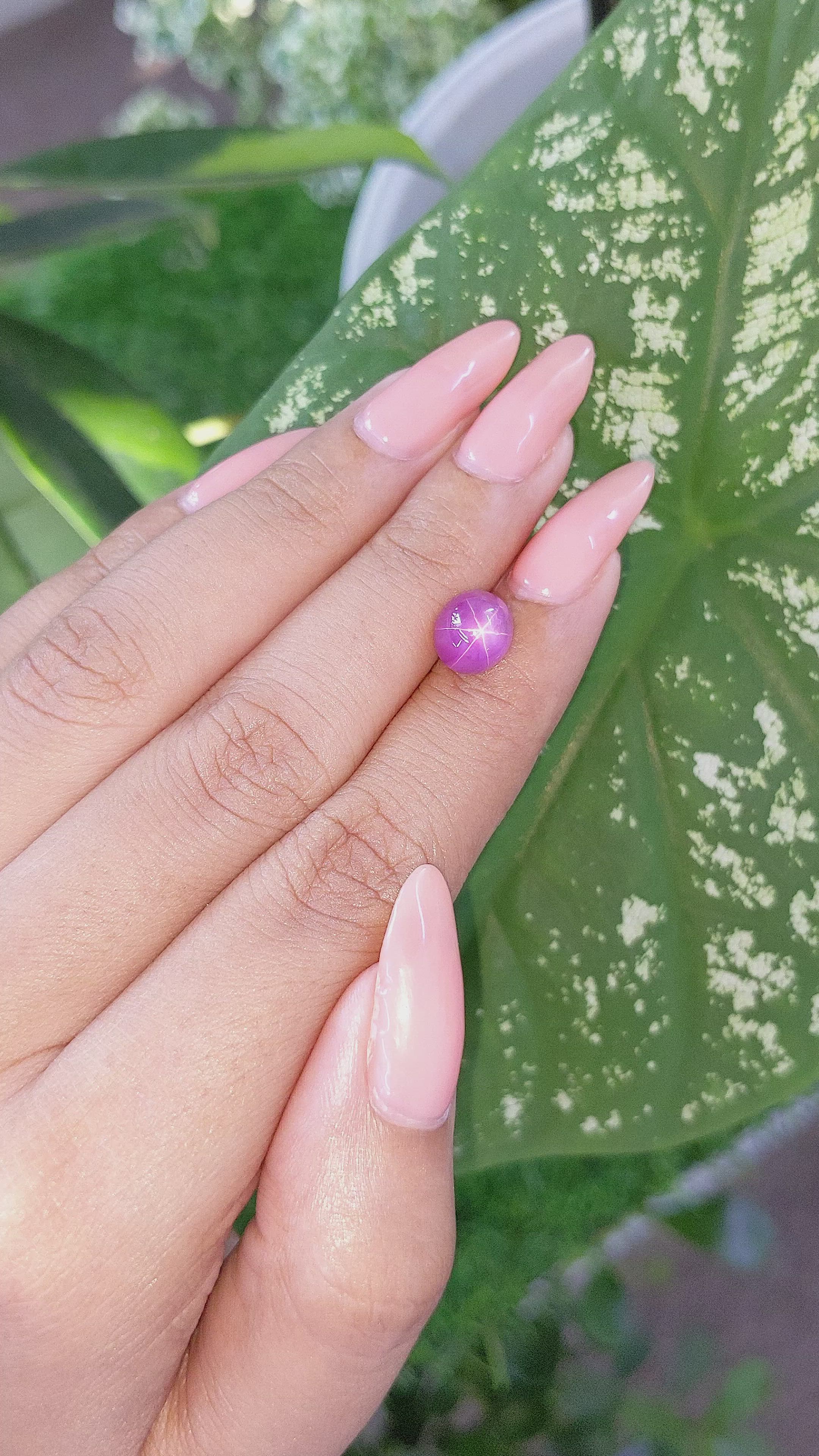 4.79 Ct. Pink Star Sapphire from Ceylon (Sri Lanka) Size Video