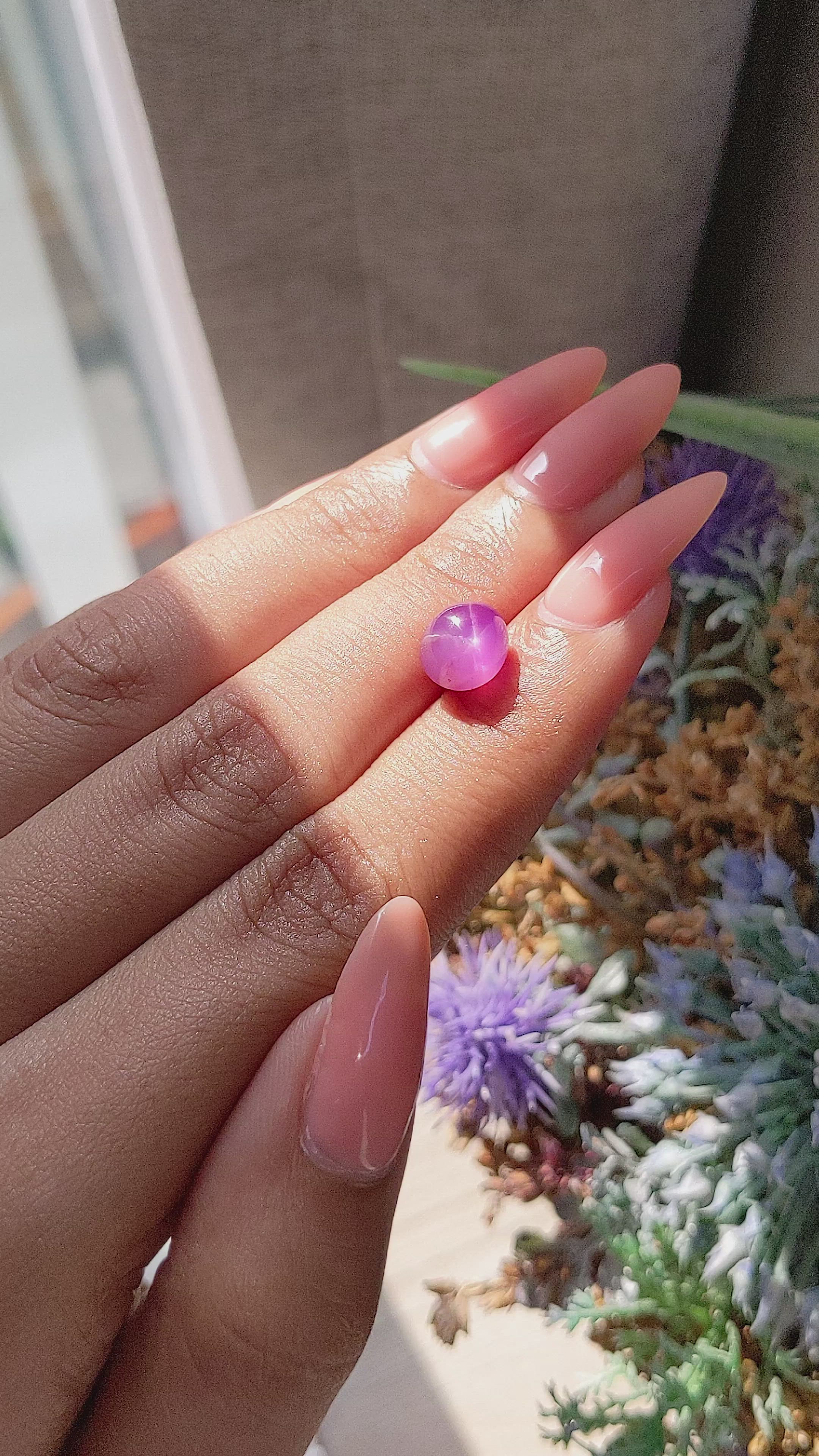 4.79 Ct. Pink Star Sapphire from Ceylon (Sri Lanka) Size Video
