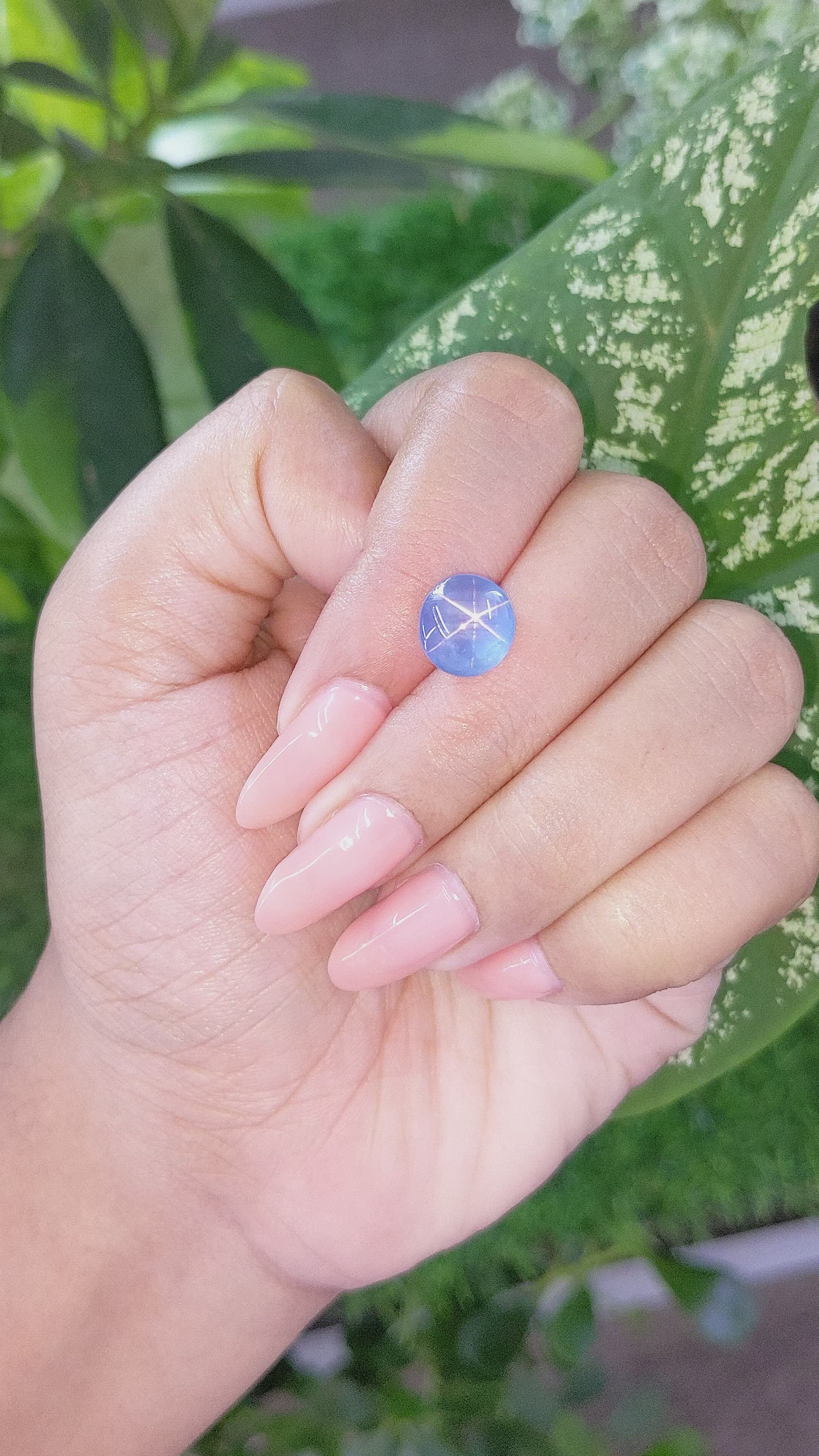 4.62 Ct. Blue Star Sapphire from Ceylon (Sri Lanka) Size Video