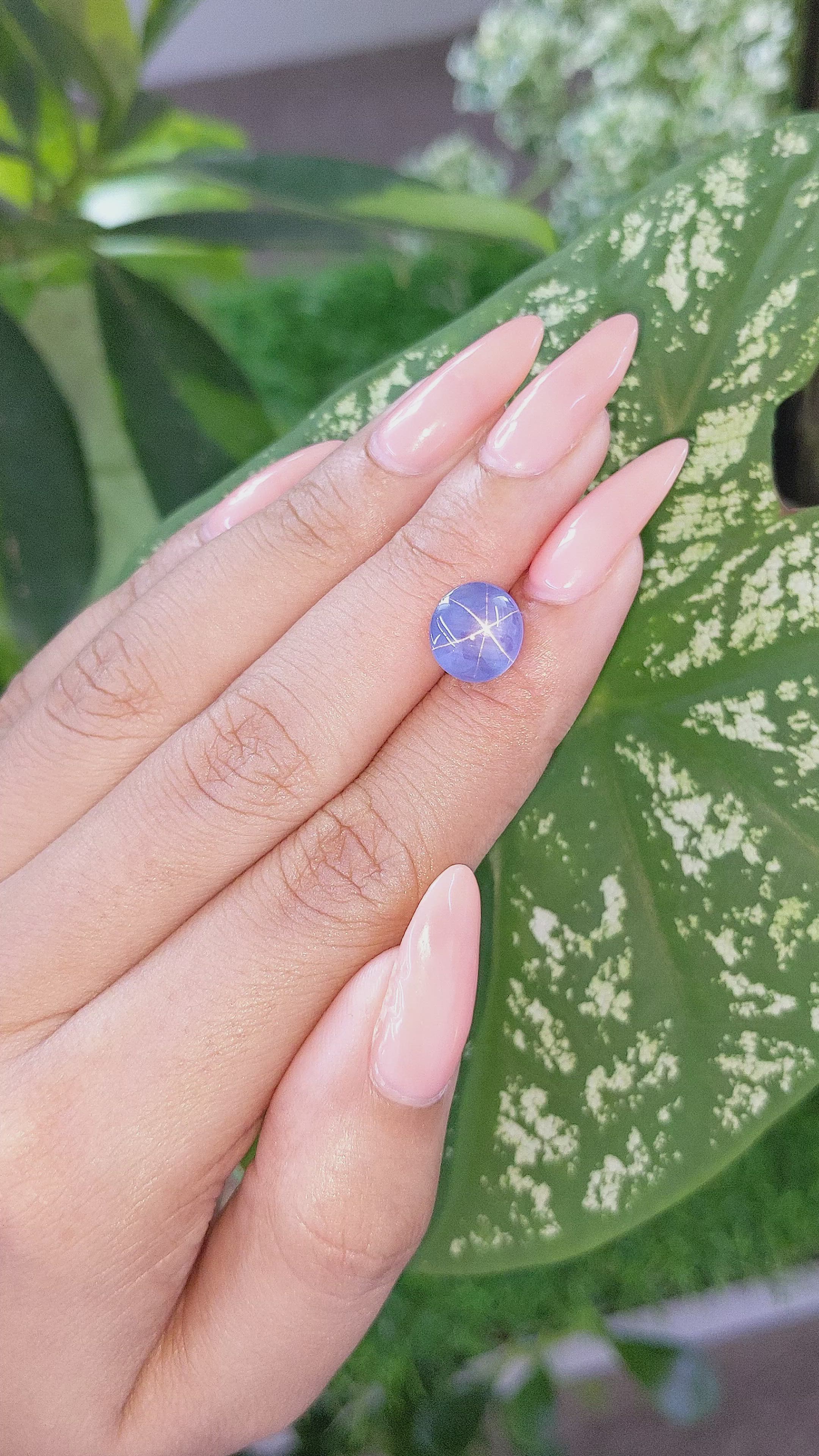 4.62 Ct. Blue Star Sapphire from Ceylon (Sri Lanka) Size Video