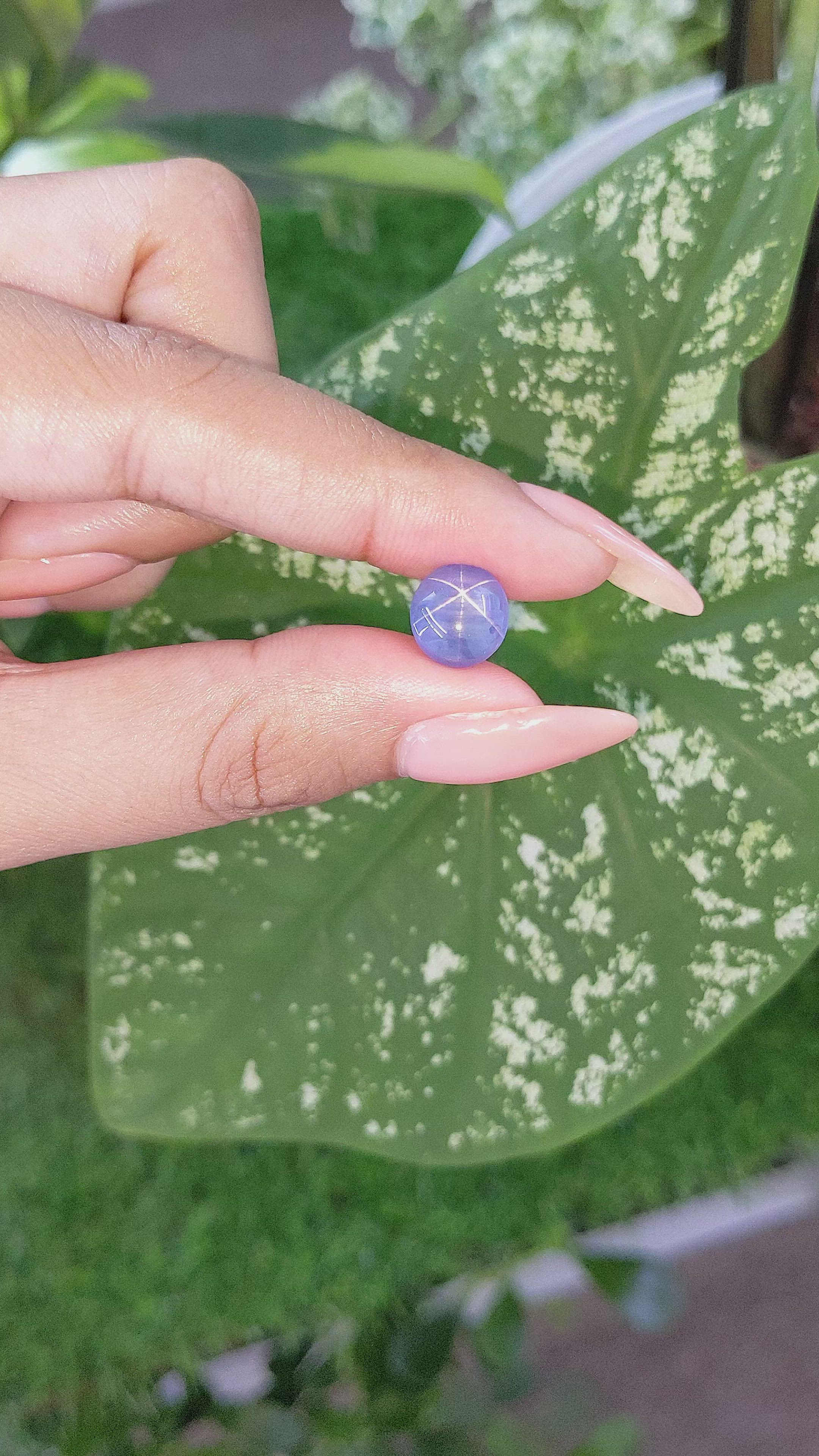 4.62 Ct. Blue Star Sapphire from Ceylon (Sri Lanka) Size Video