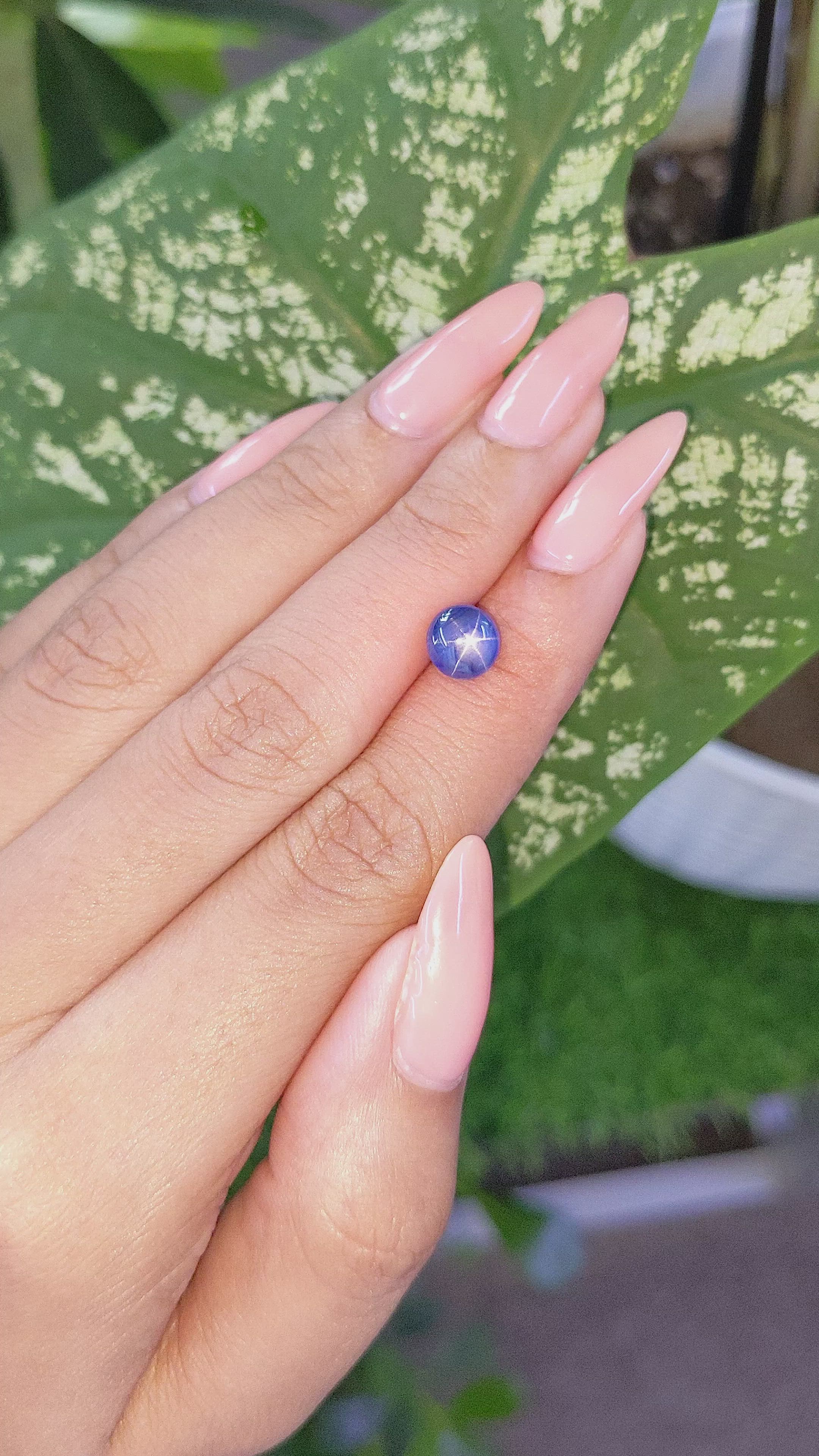 3.31 Ct. Blue Star Sapphire from Ceylon (Sri Lanka) Size Video