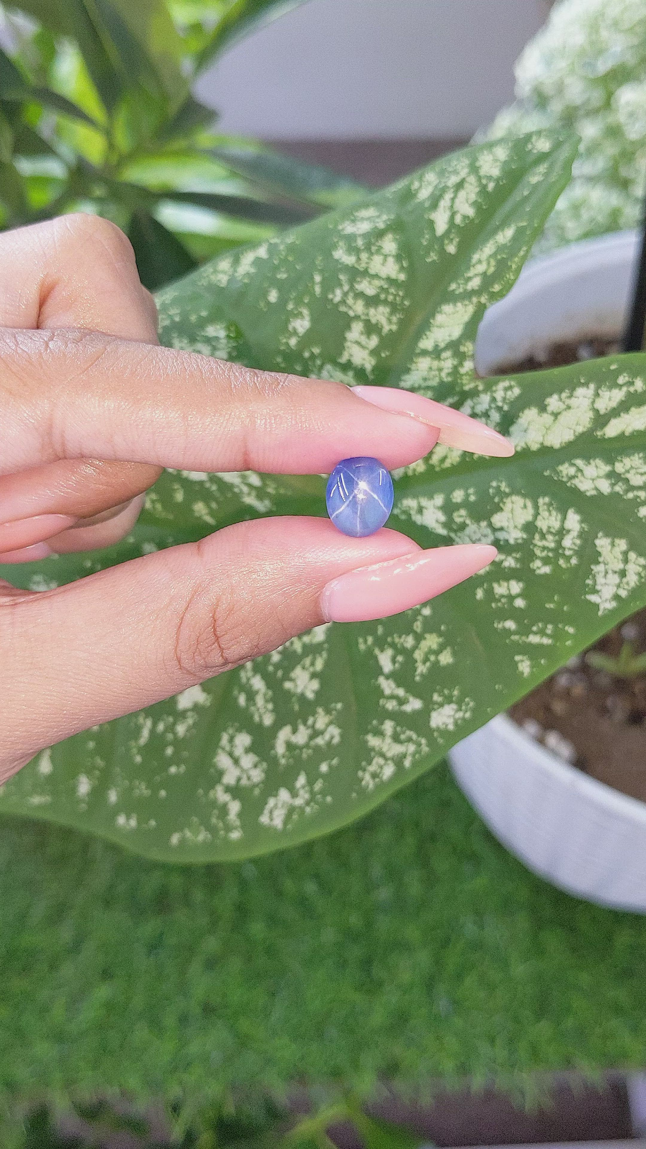 4.36 Ct. Blue Star Sapphire from Ceylon (Sri Lanka) Size Video