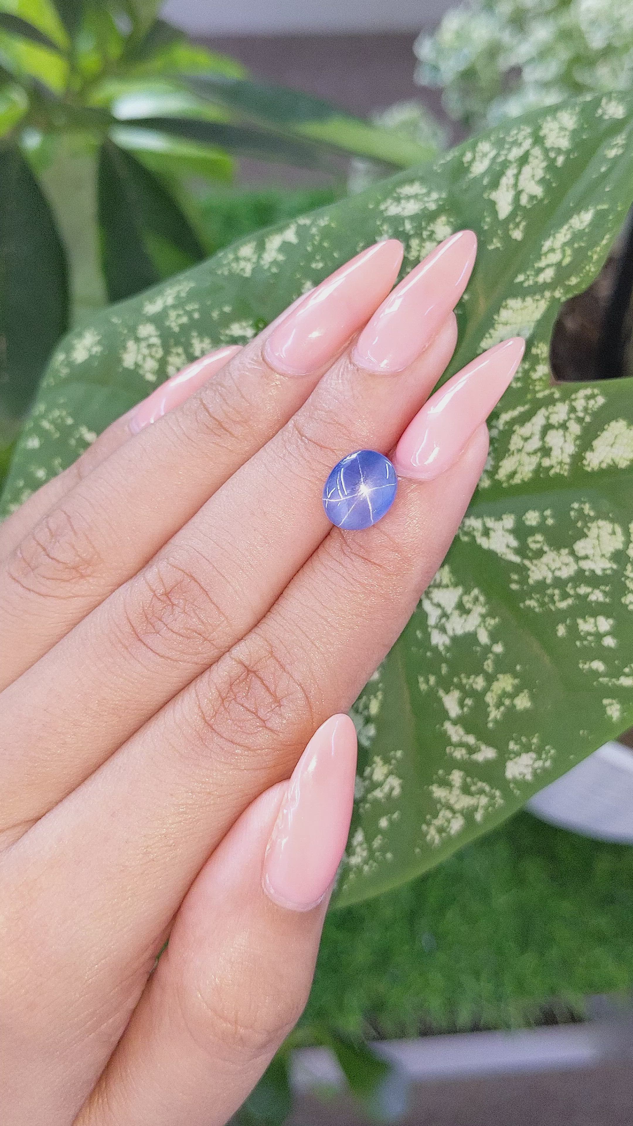 4.36 Ct. Blue Star Sapphire from Ceylon (Sri Lanka) Size Video