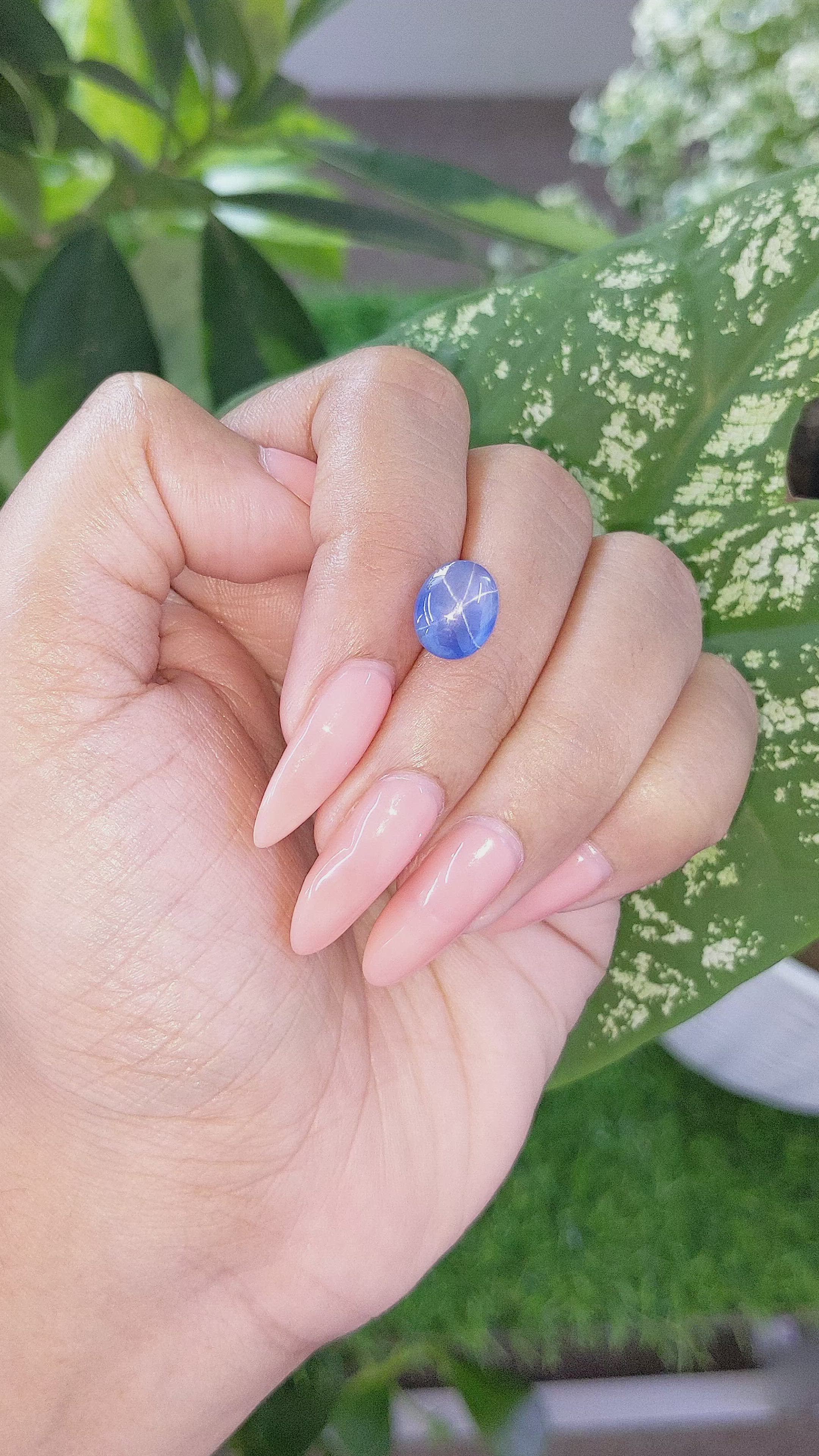 4.36 Ct. Blue Star Sapphire from Ceylon (Sri Lanka) Size Video