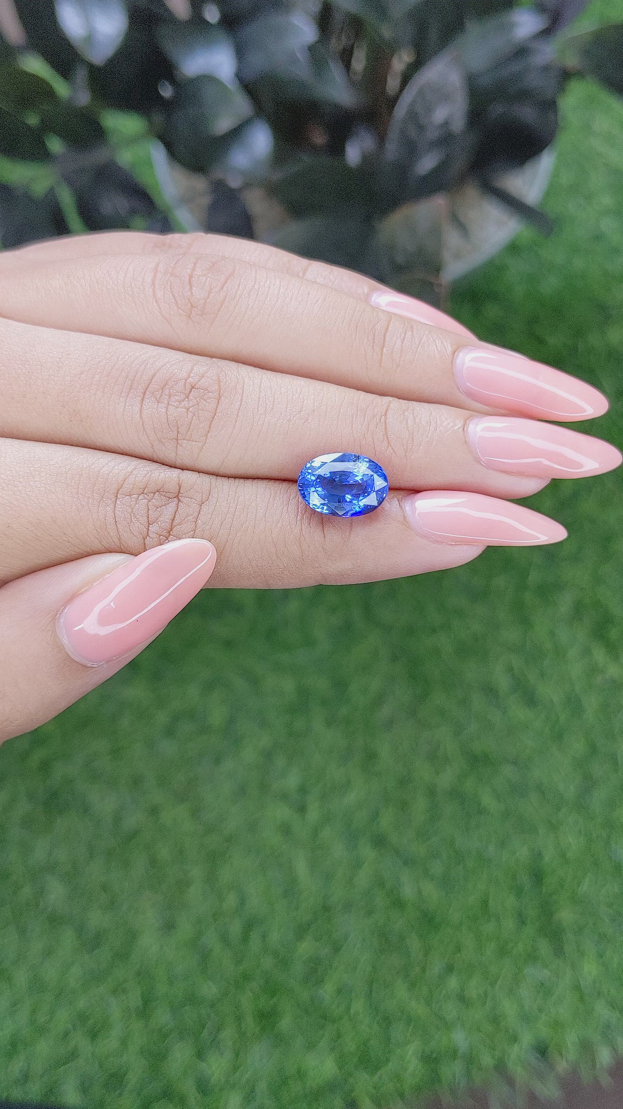 5.53 Ct. Blue Sapphire from Ceylon (Sri Lanka) Size Video