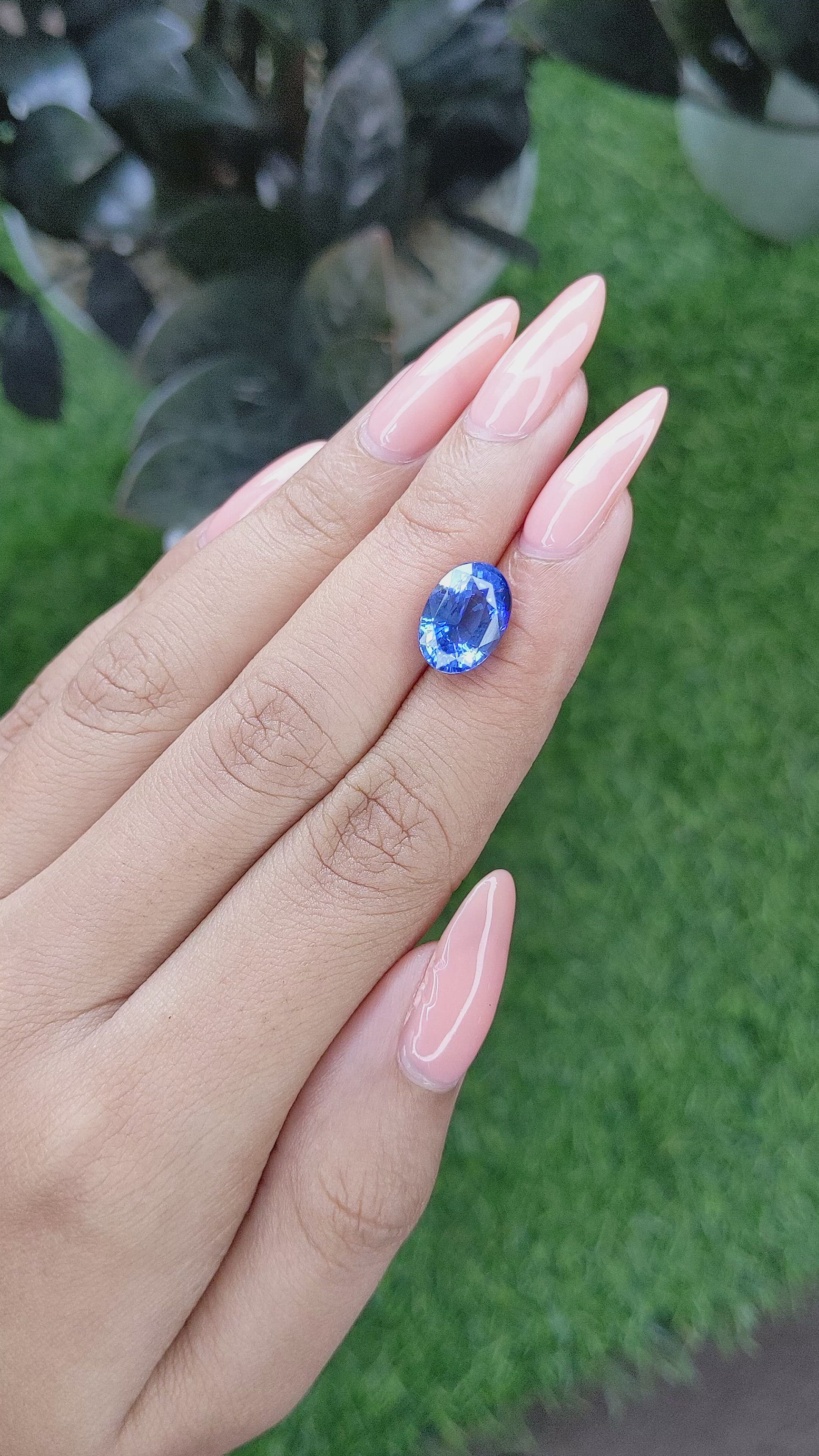 5.53 Ct. Blue Sapphire from Ceylon (Sri Lanka) Size Video