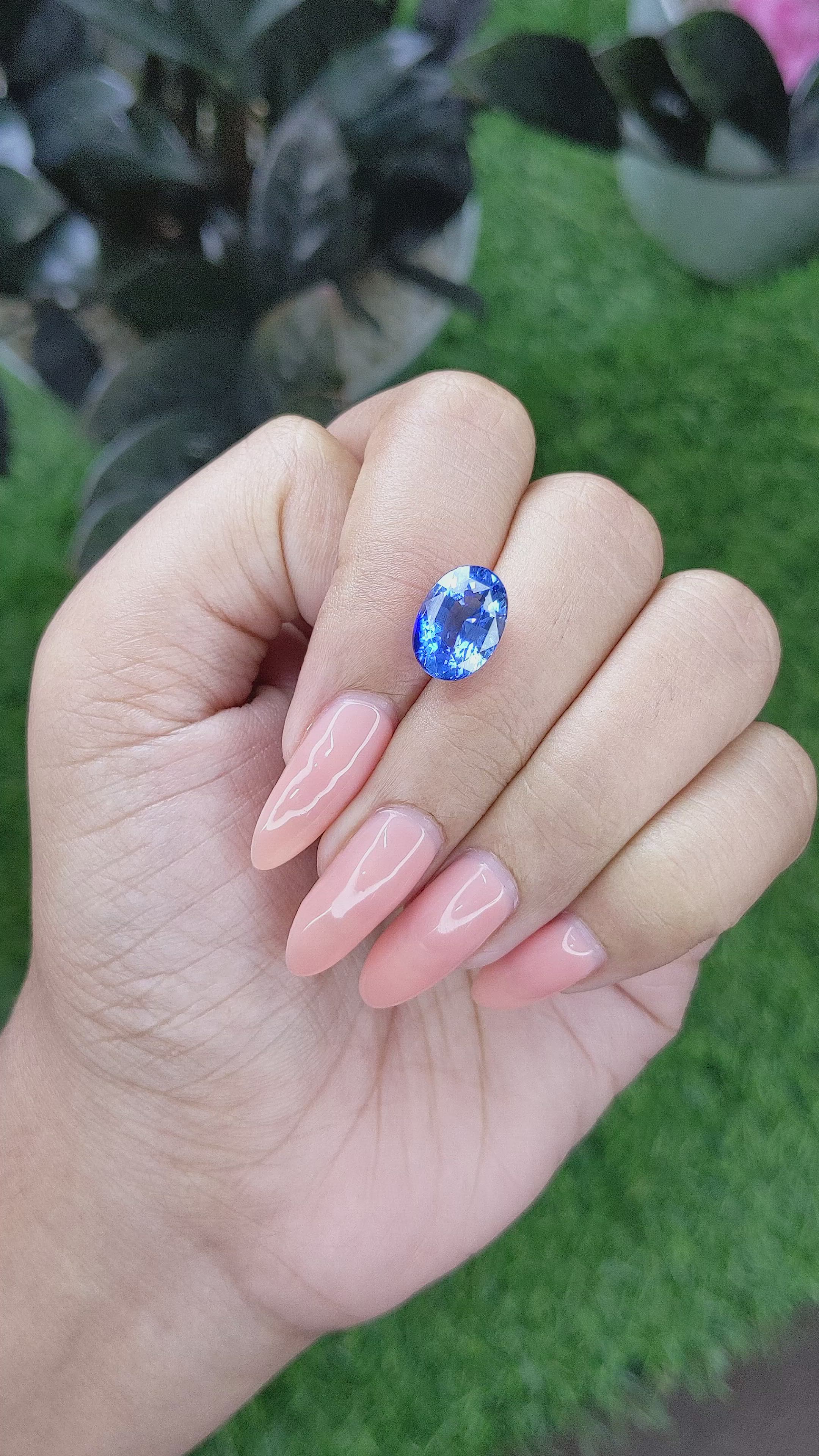 5.53 Ct. Blue Sapphire from Ceylon (Sri Lanka) Size Video