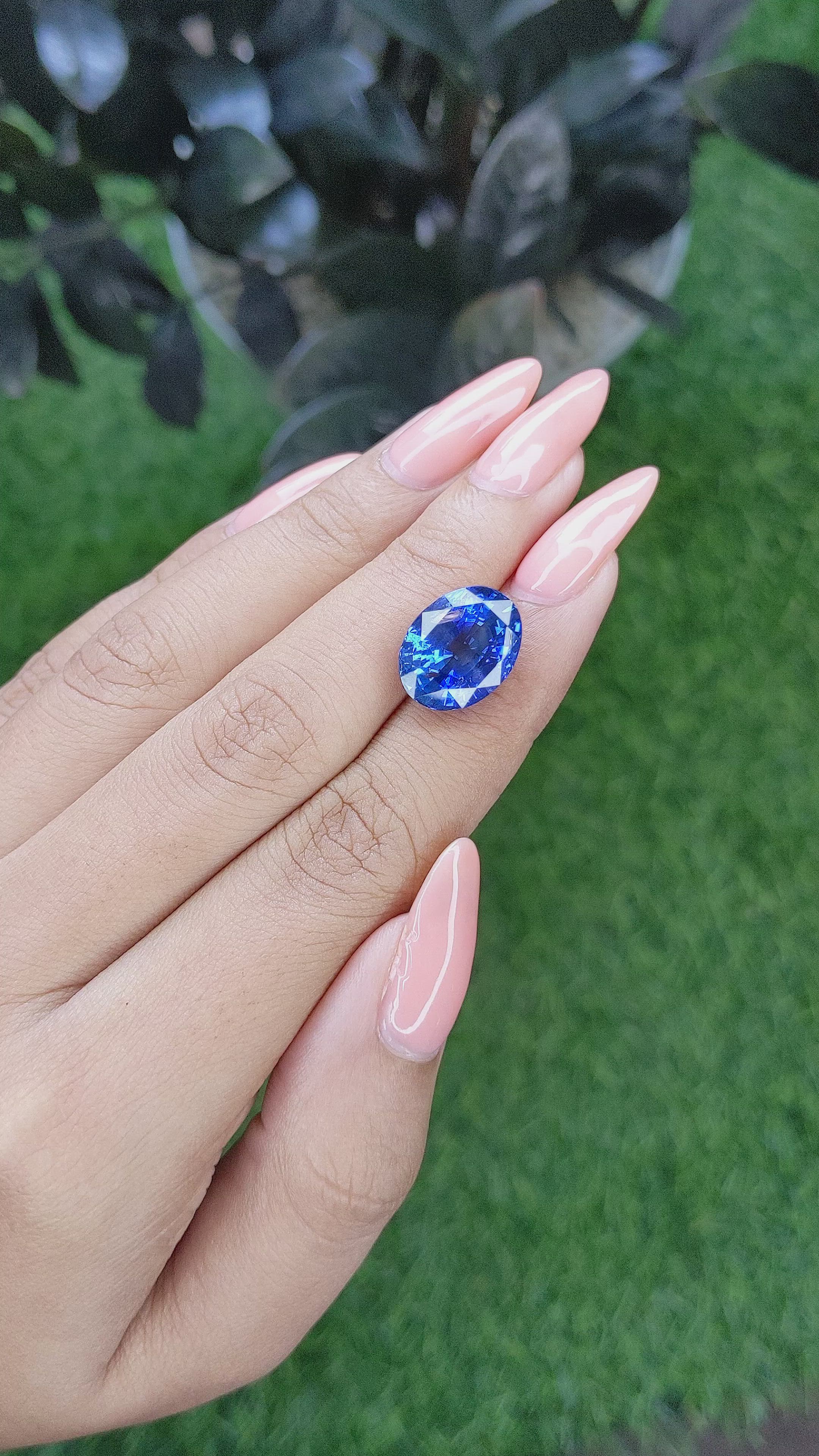 11.44 Ct. Blue Sapphire from Ceylon (Sri Lanka) Size Video